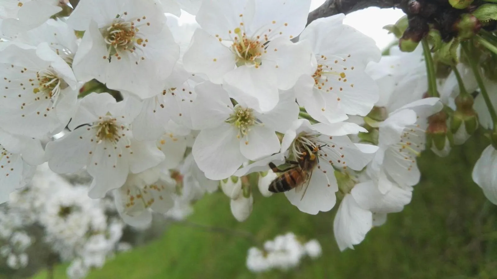 Natural landscape in Olivia B&B and Apartment