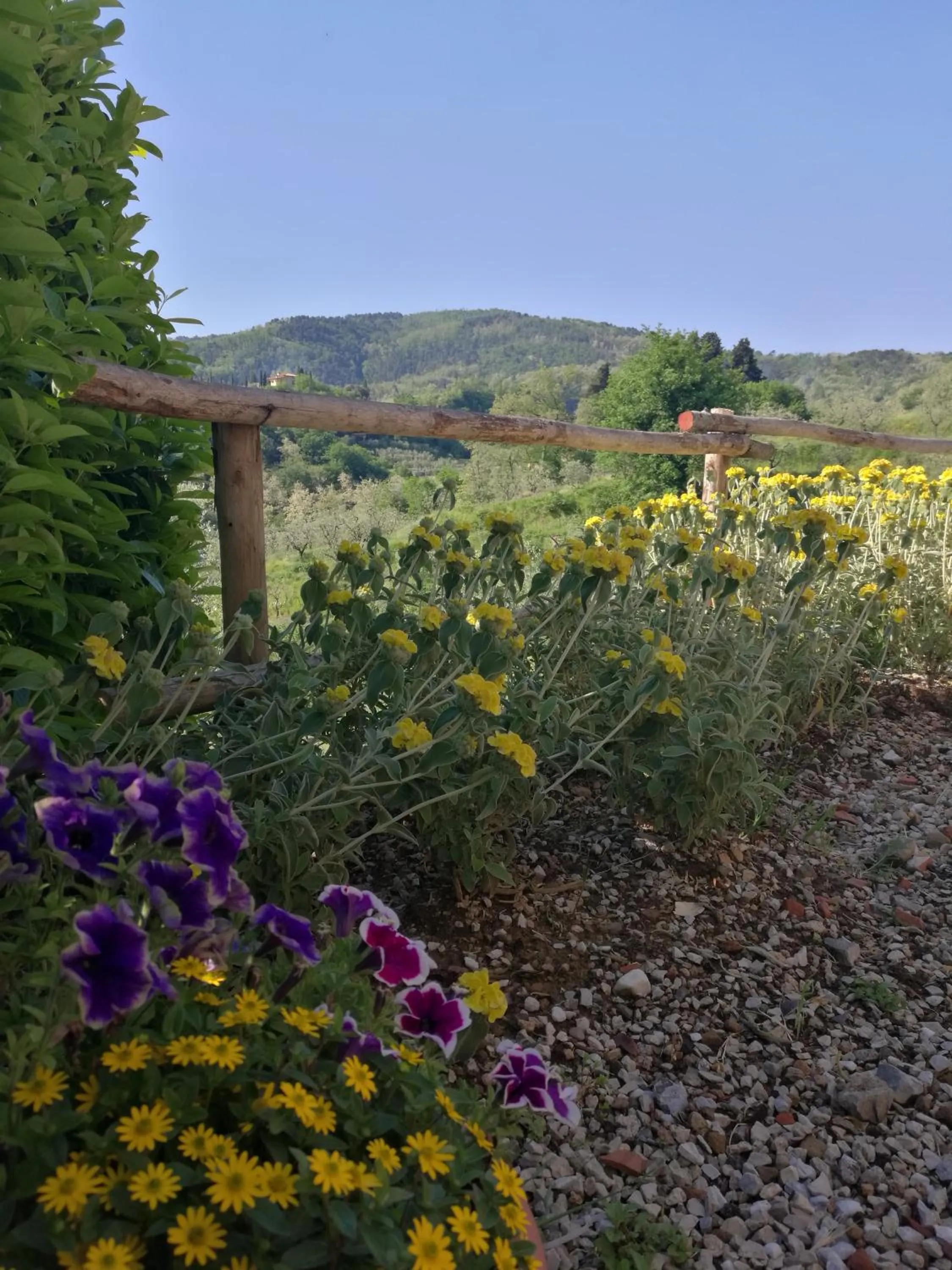 Spring in Olivia B&B and Apartment