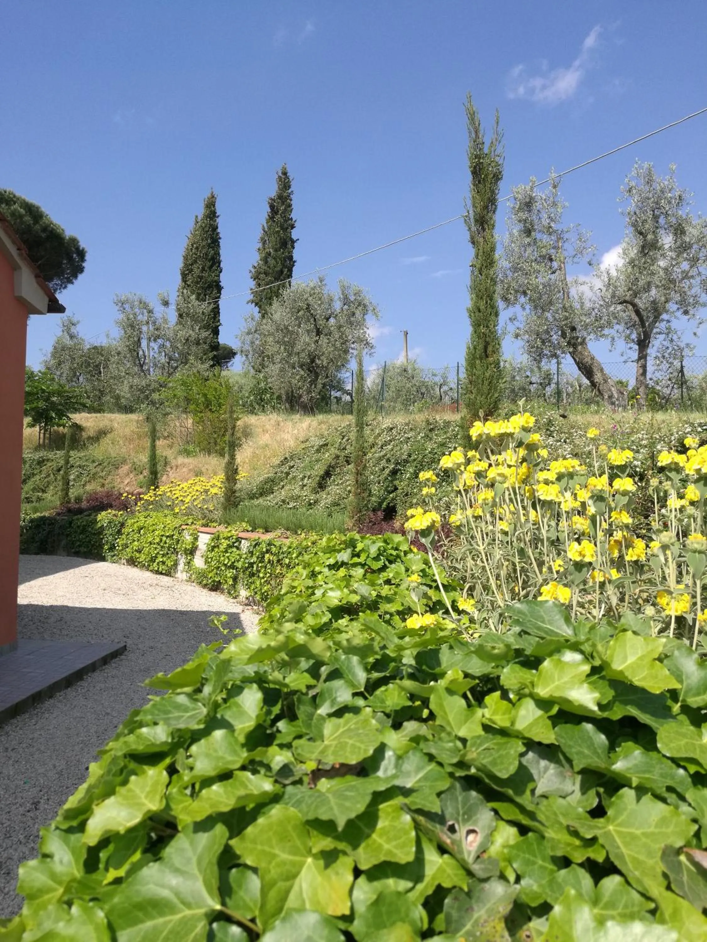 Summer in Olivia B&B and Apartment