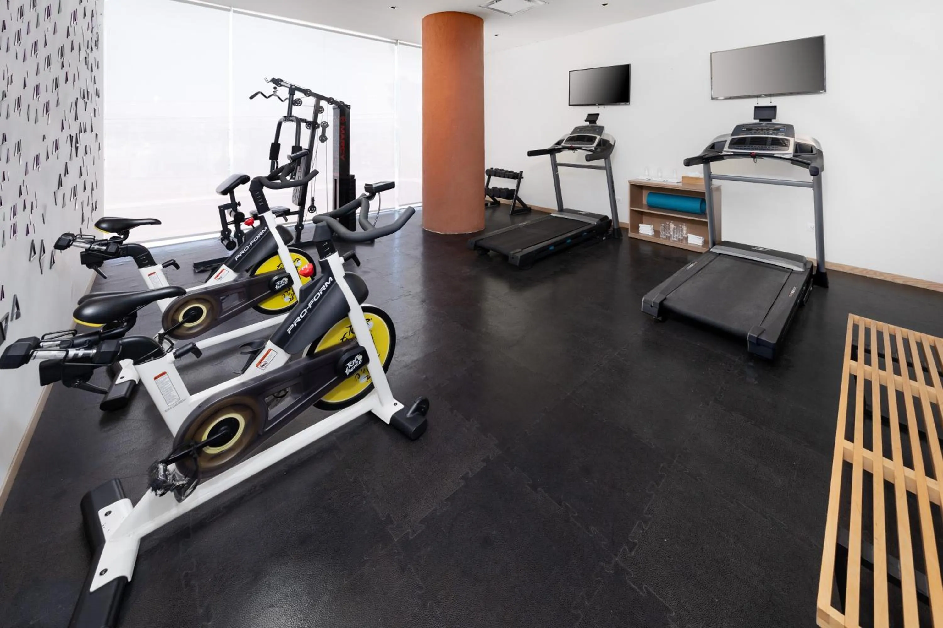 Fitness centre/facilities in Hotel México Plaza Querétaro
