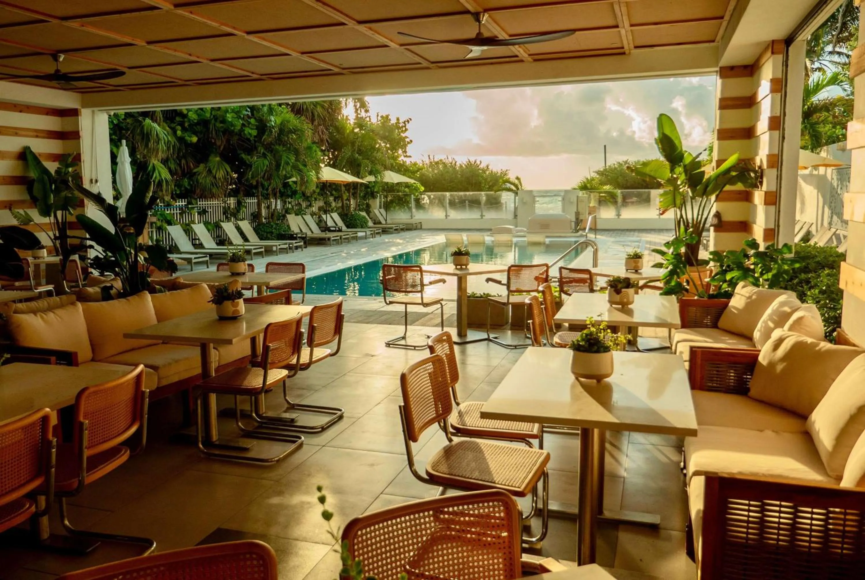 Restaurant/places to eat in MB Hotel, Trademark Collection by Wyndham