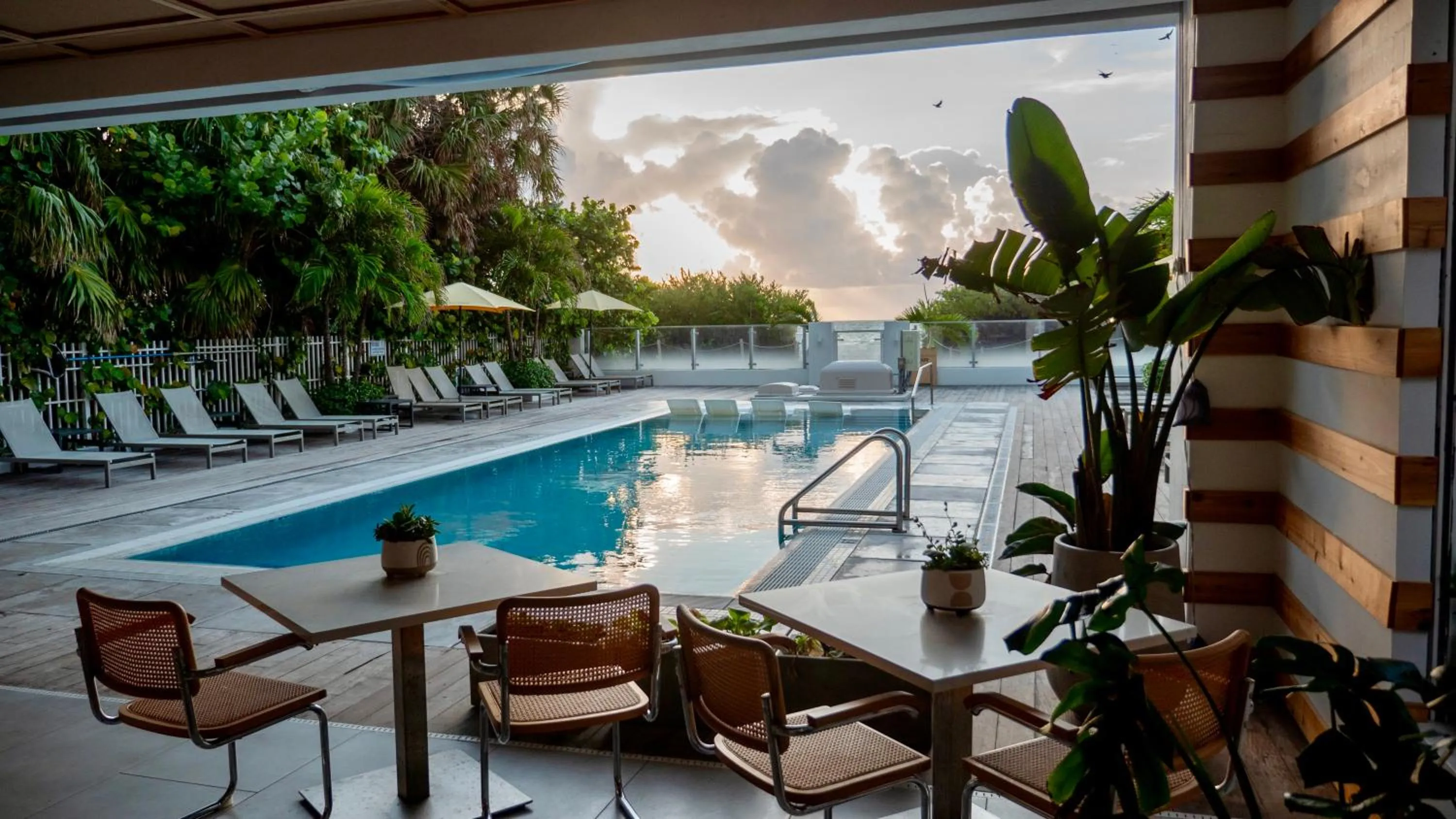 Restaurant/places to eat in MB Hotel, Trademark Collection by Wyndham