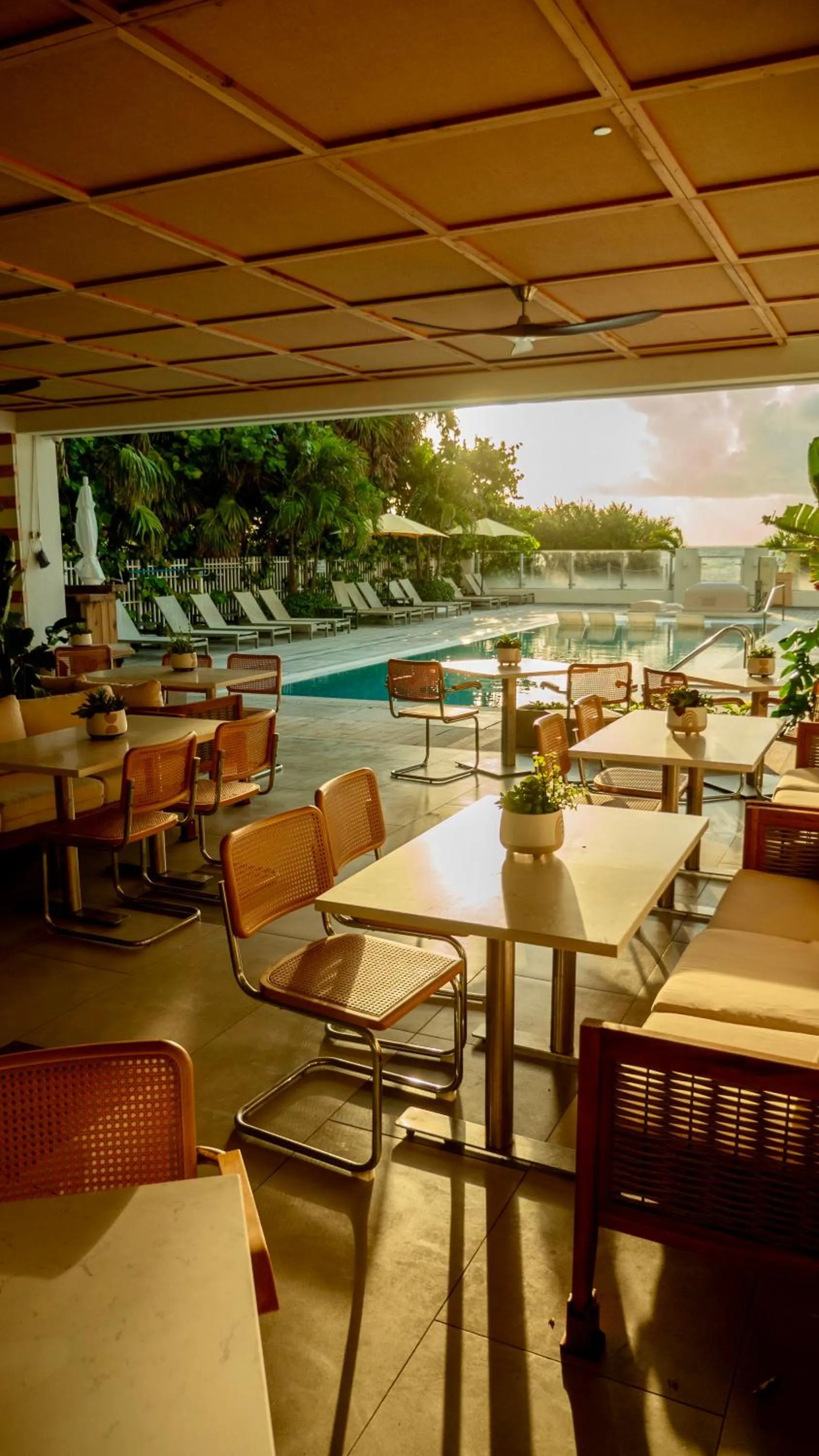 Restaurant/places to eat in MB Hotel, Trademark Collection by Wyndham