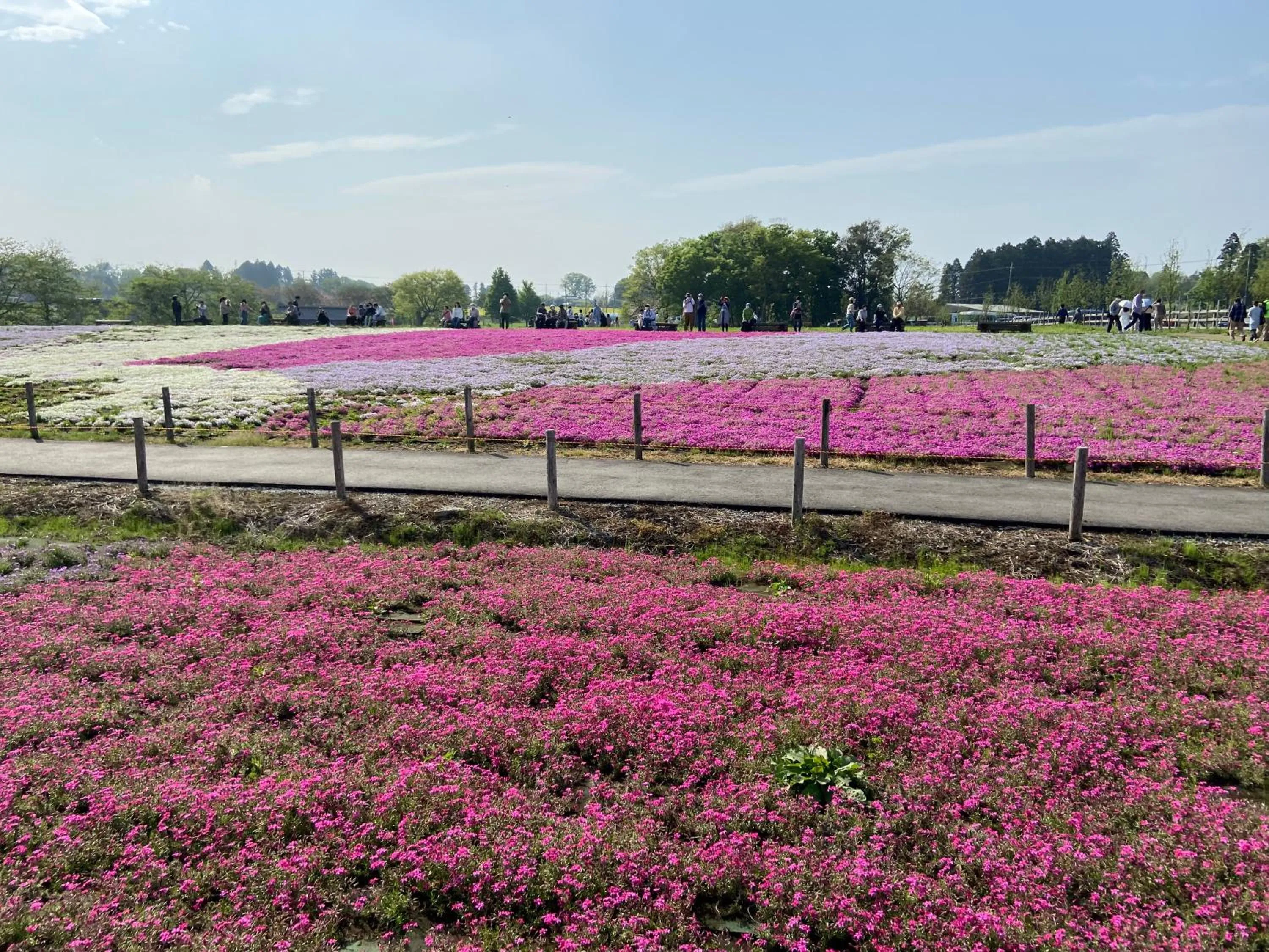 Off site in Vessel Inn Keisei Tsudanuma Station
