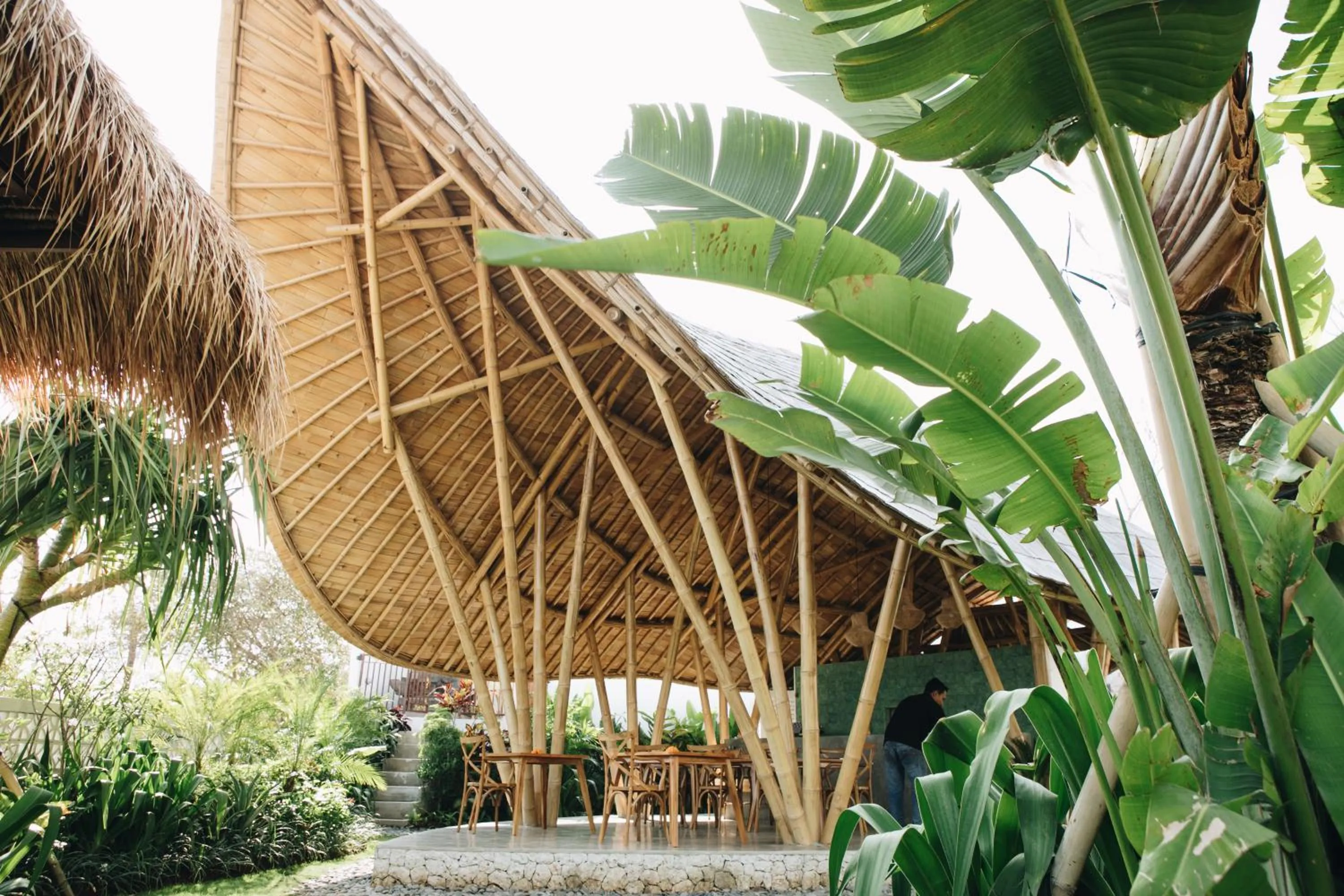 Restaurant/places to eat in White Tortoise Eco Villa's