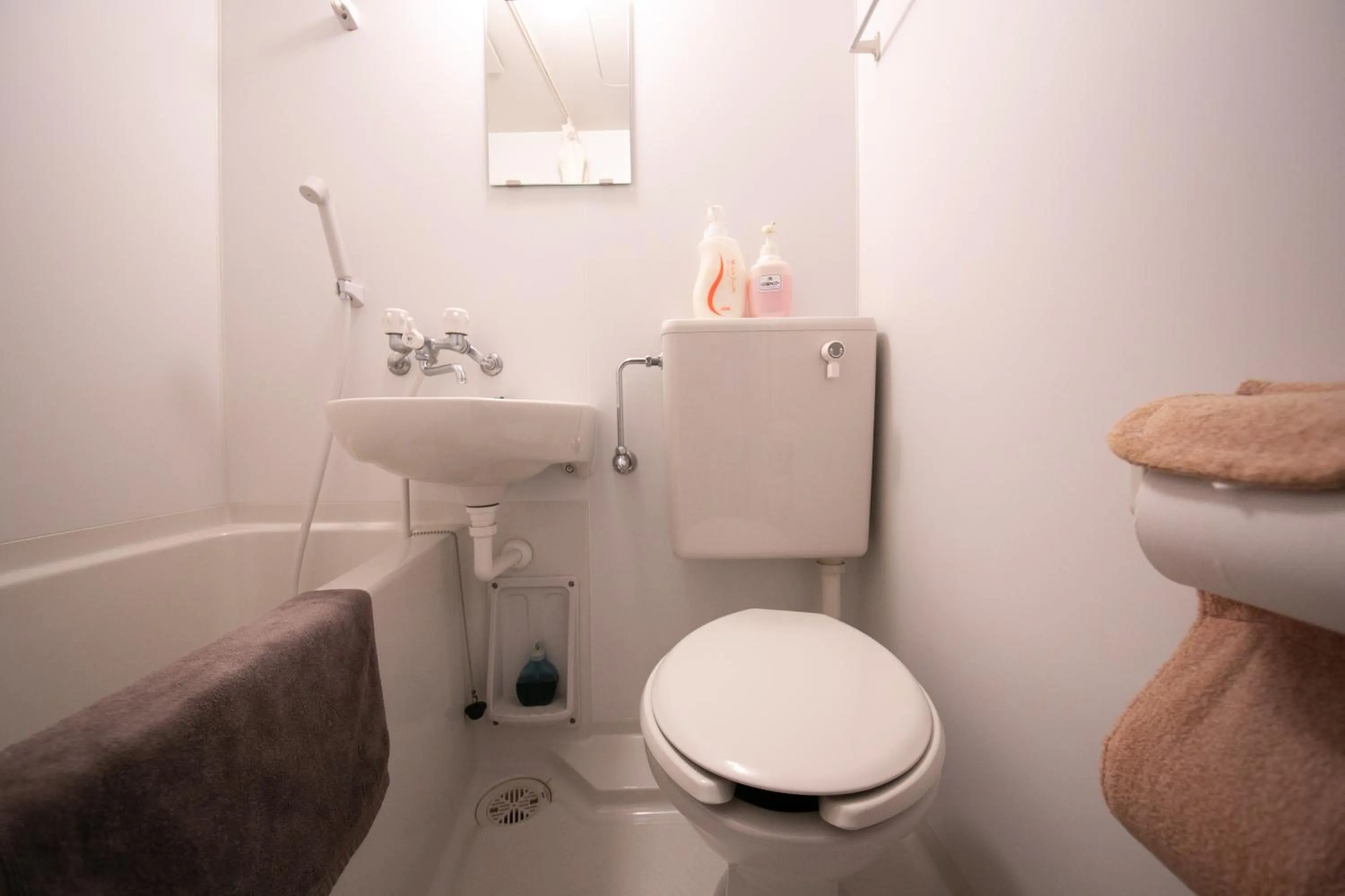 Toilet in Grand Hotel Seifuso