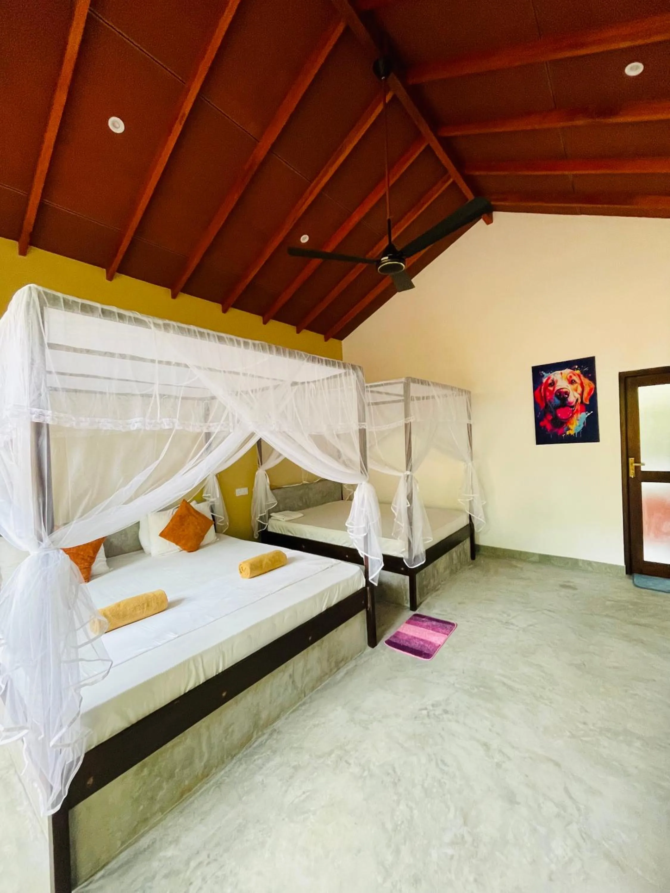 Mango Tree House