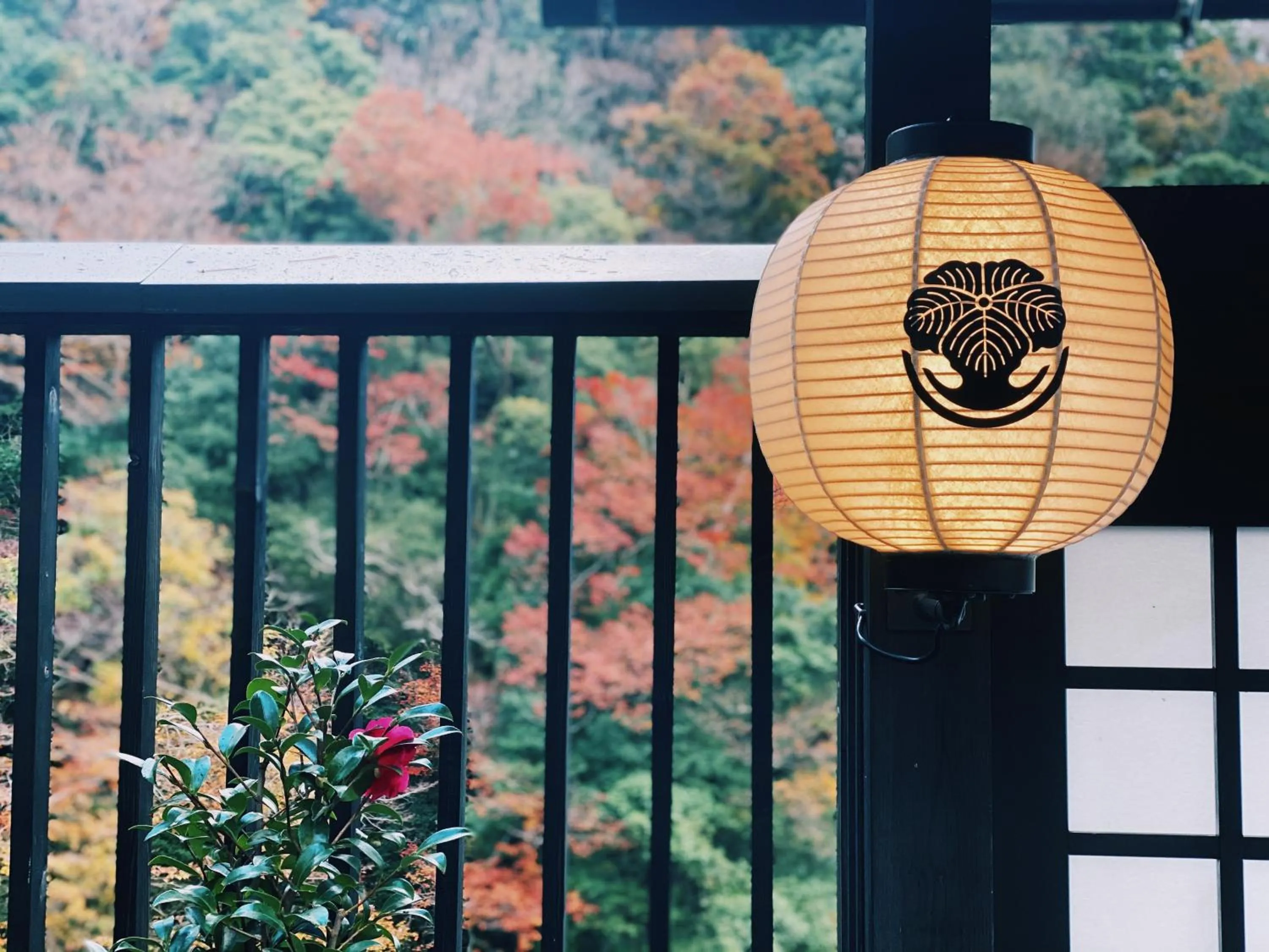 Facade/entrance in Onsen Guest House Tsutaya