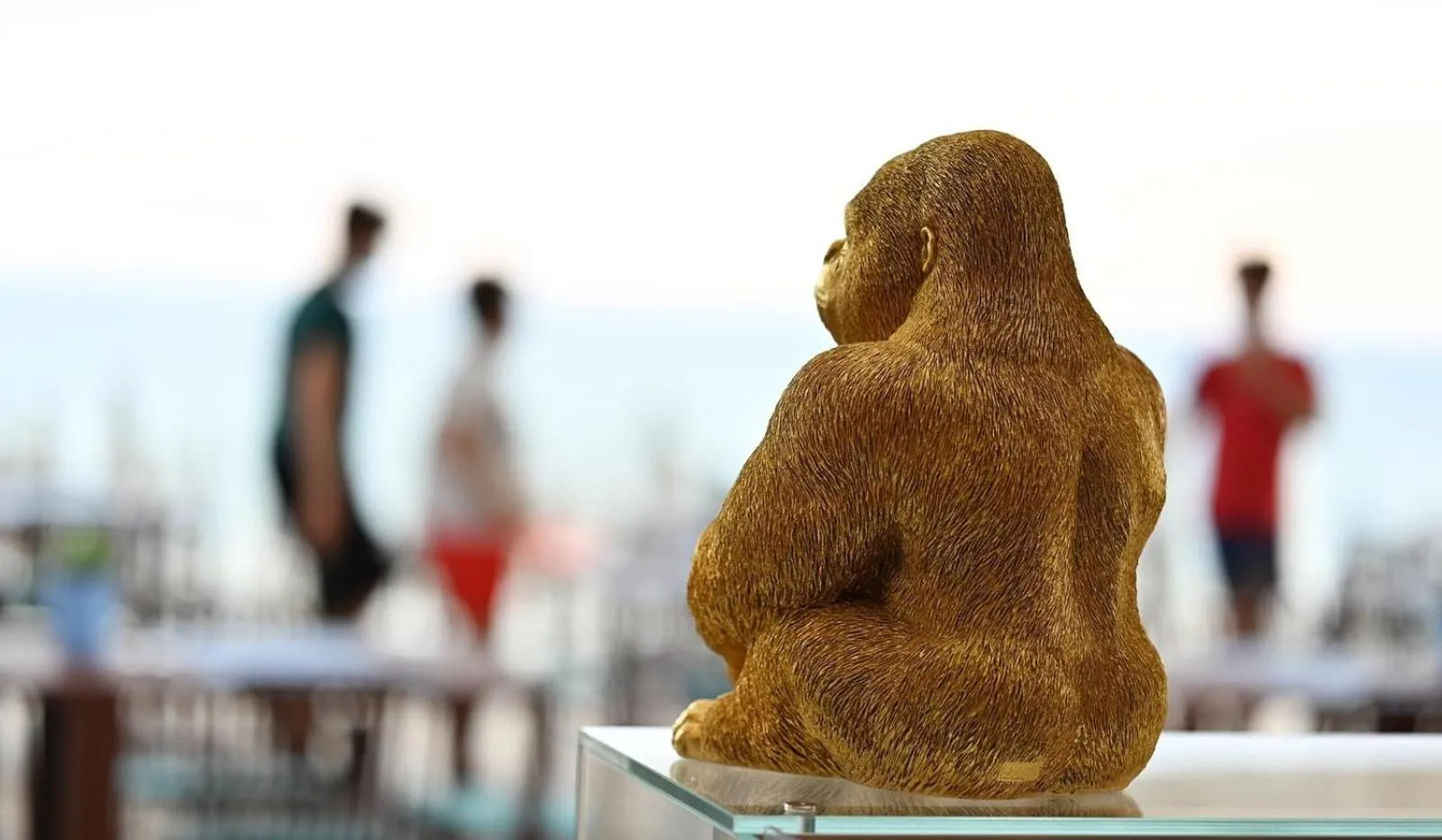 Restaurant/places to eat in Hotel Royal Paestum