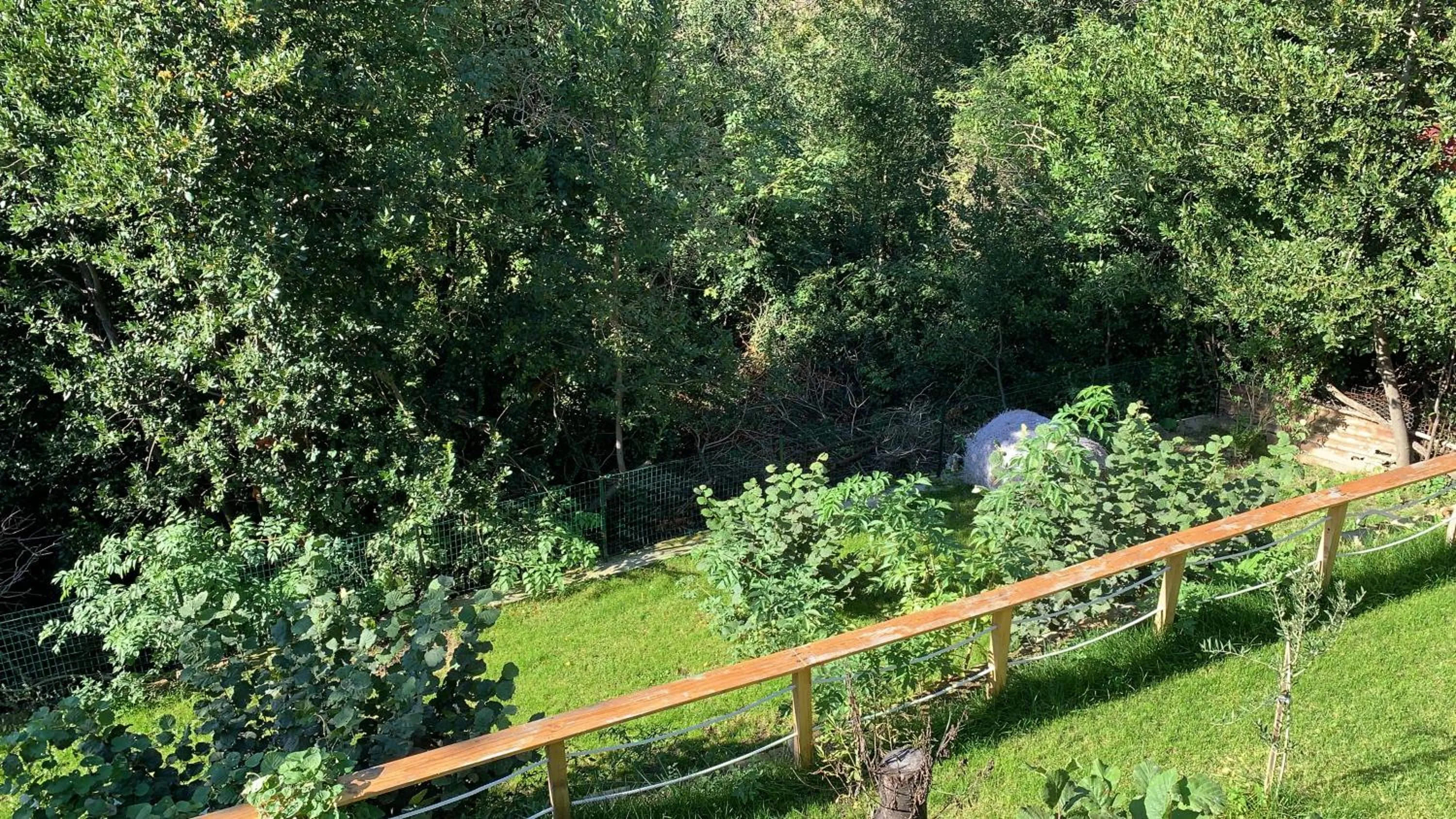 Property building in Al bosco incantato