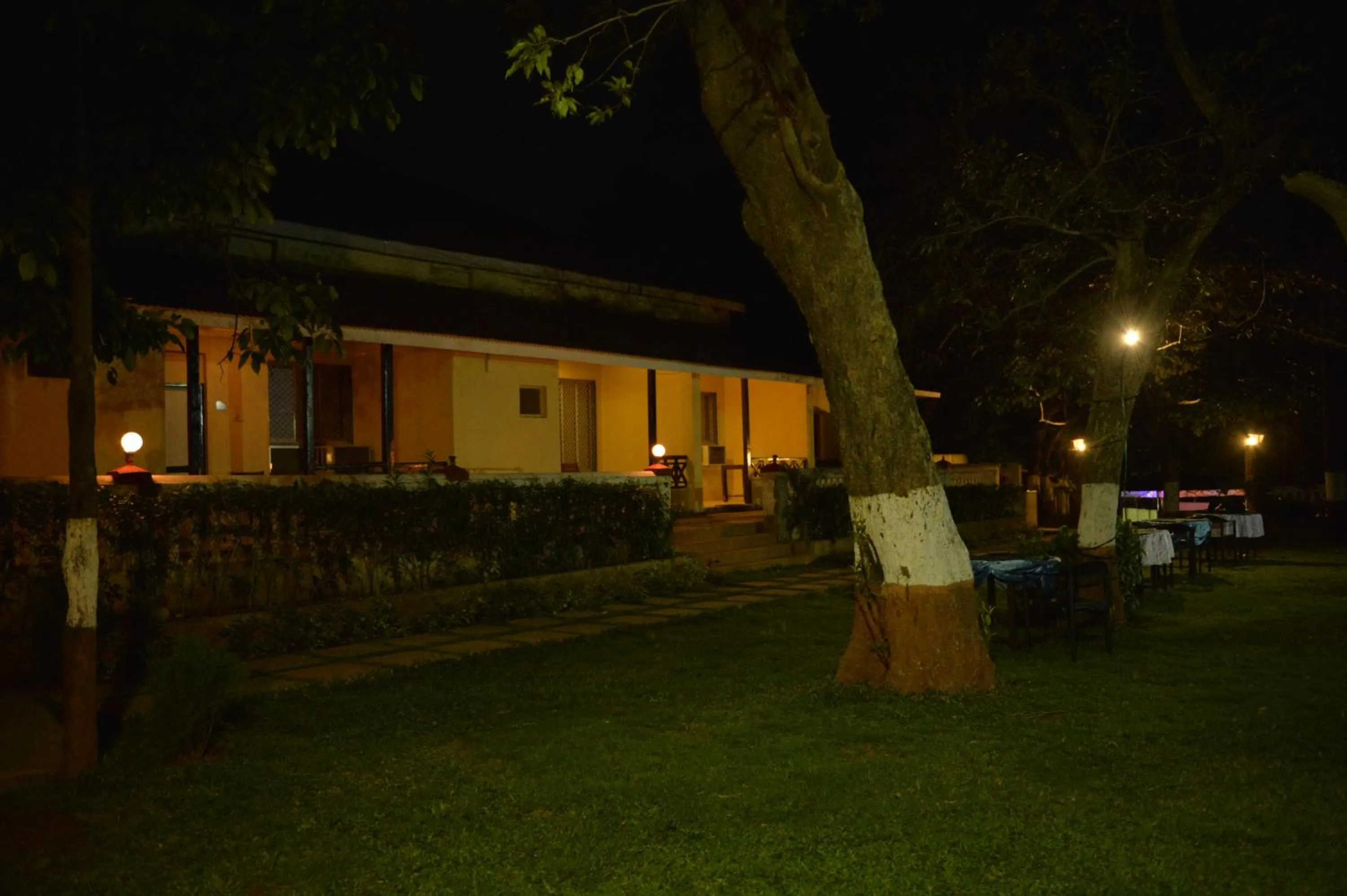 Garden in Adamo The Village