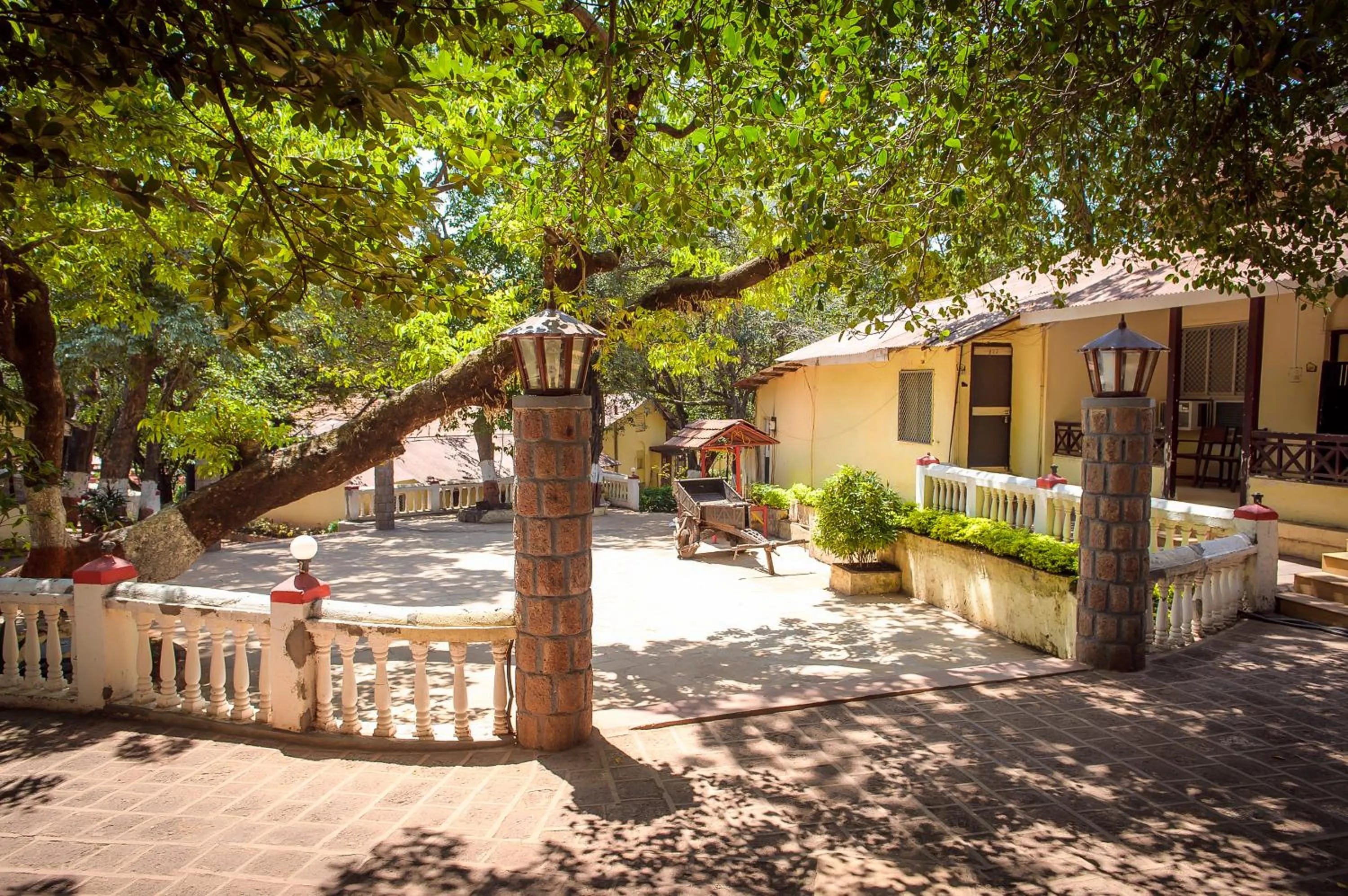 Property building in Adamo The Village