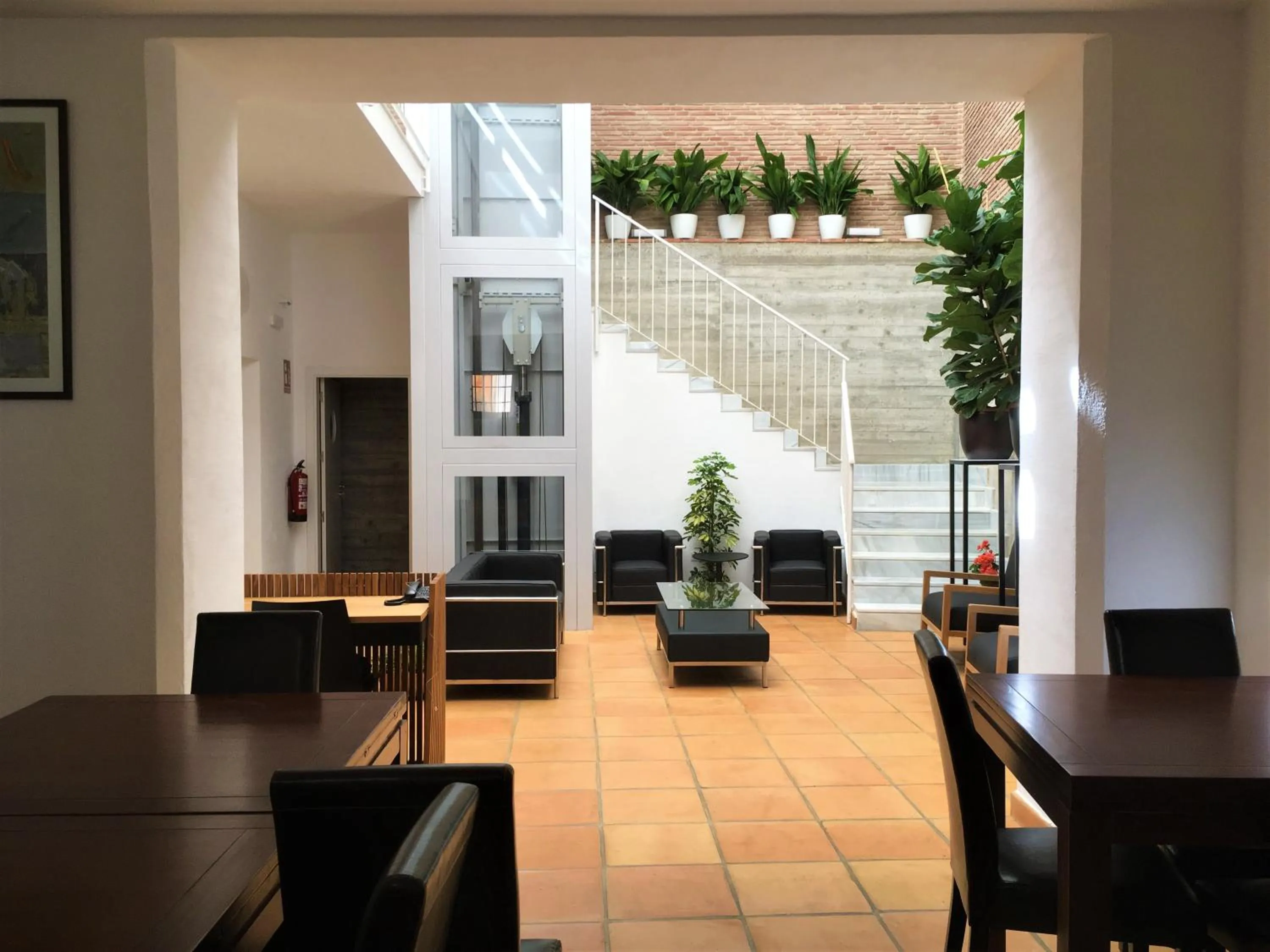 Lounge or bar in Hotel Ronda Nuevo