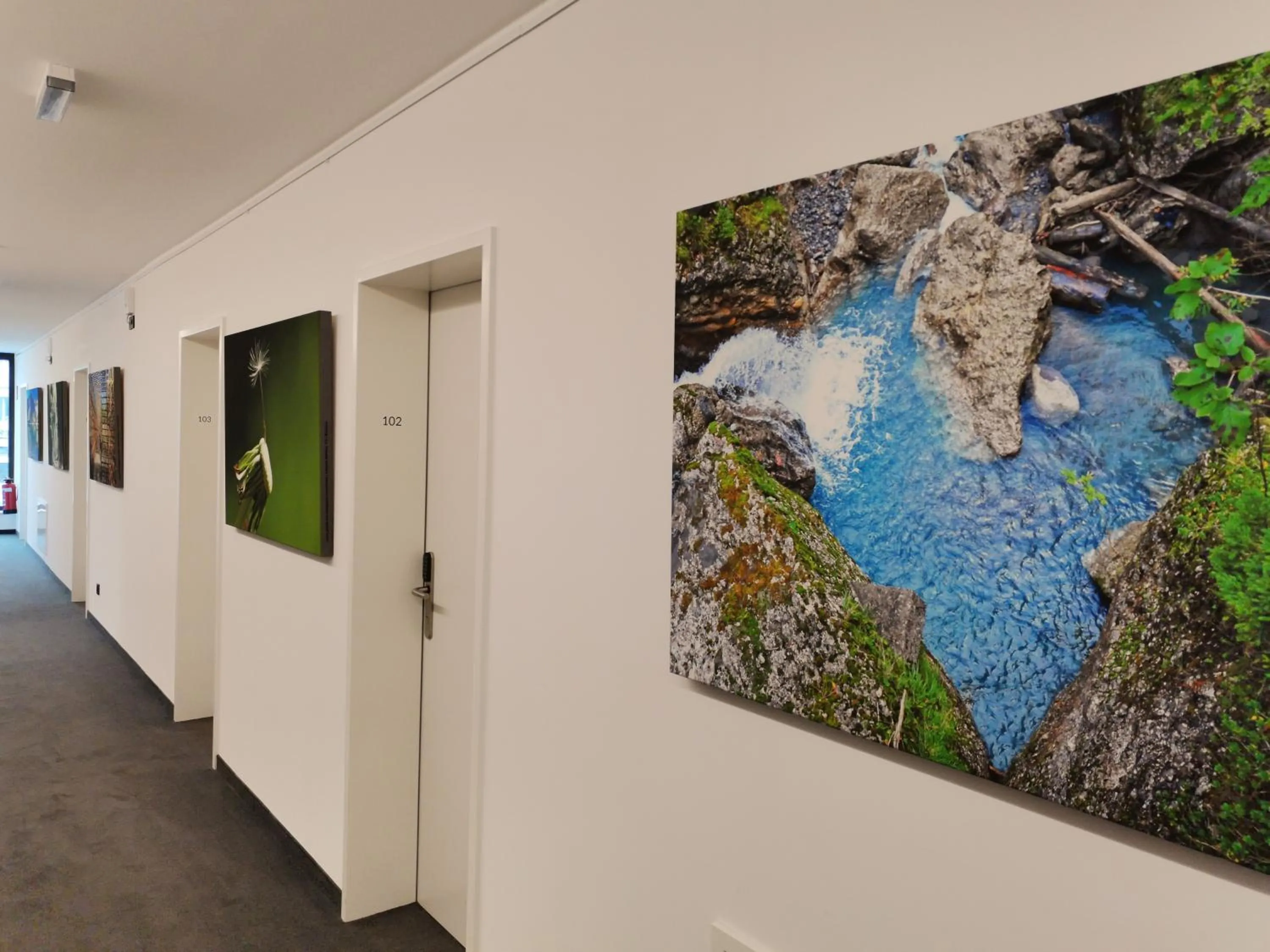 Decorative detail in Saminapark Aparthotel