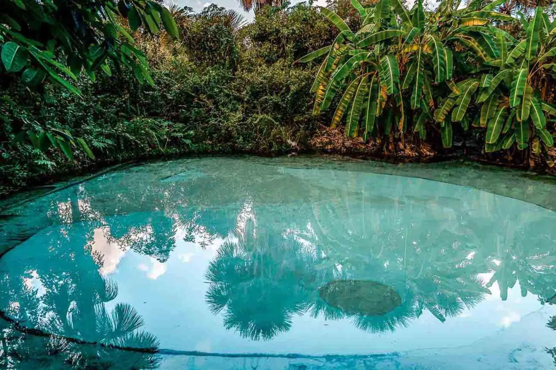 Nearby landmark in Hplus Premium Palmas