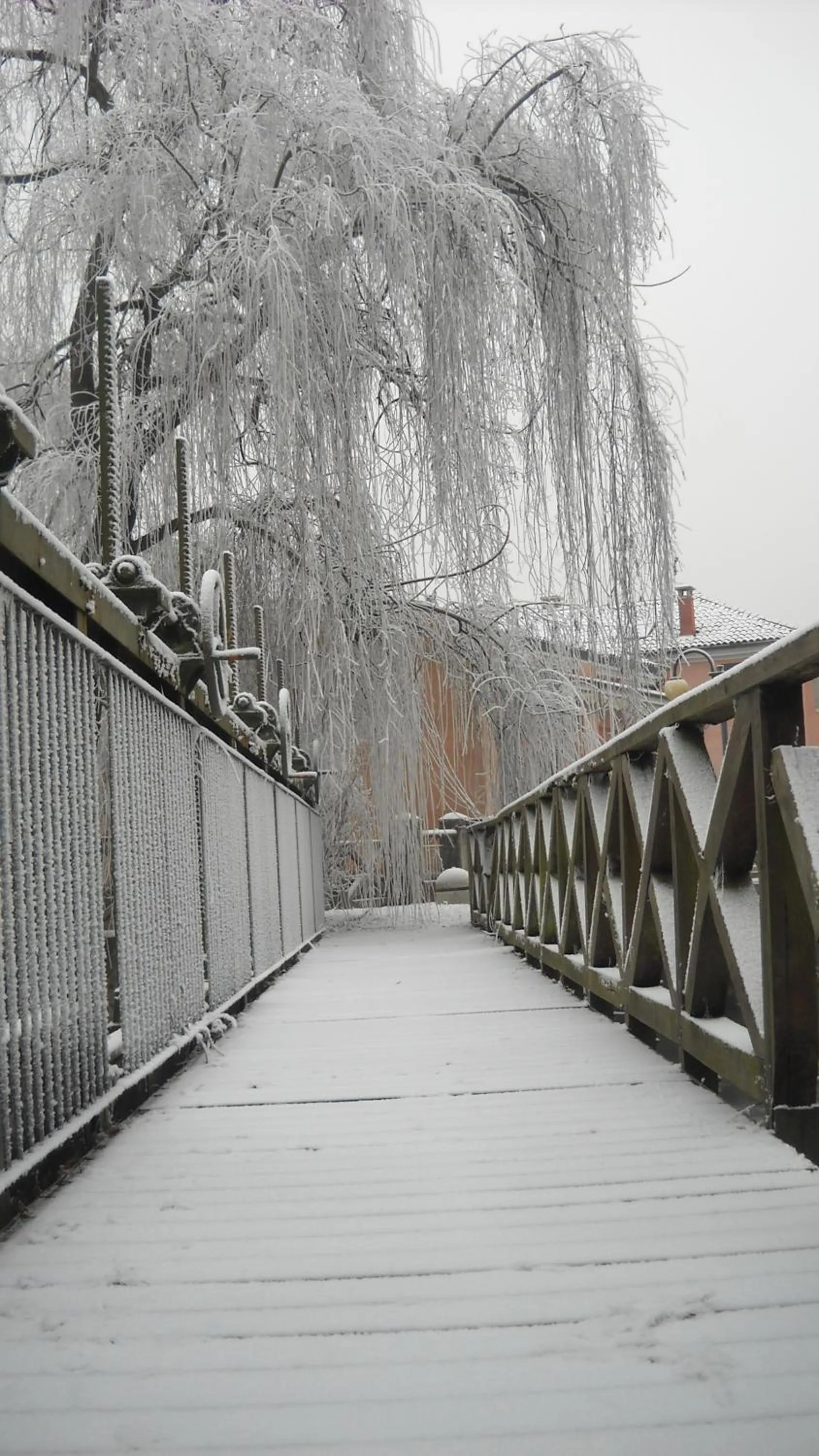 Area and facilities in La Casa del Giardiniere