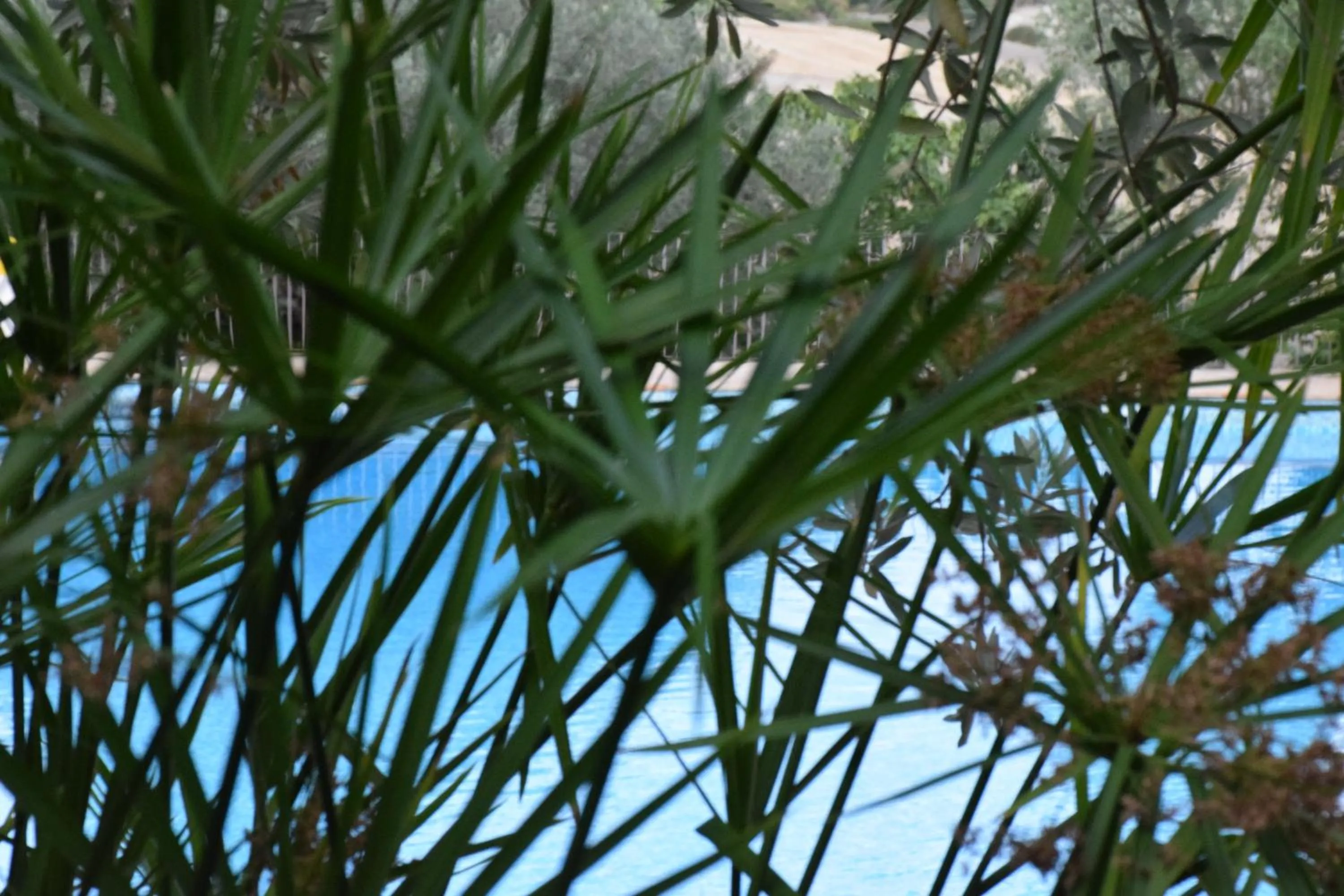 Garden in Villa Tasca