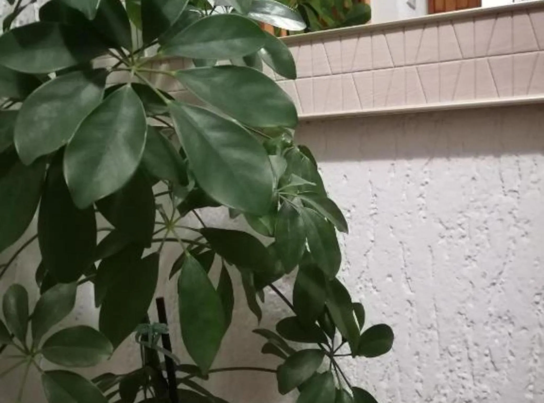 Apartman Olymp Osijek-garaža