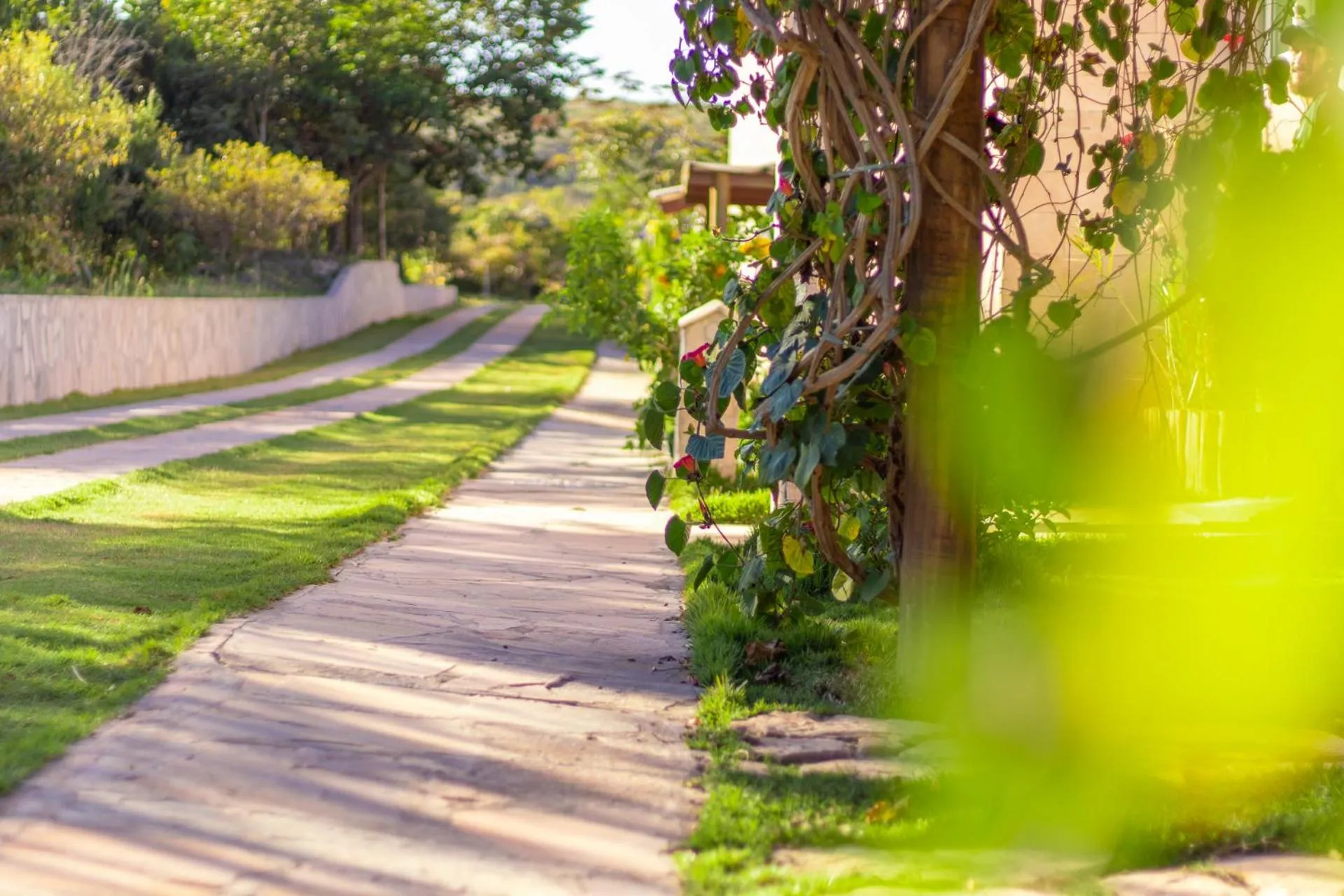 Garden in Pousada Amanhecer