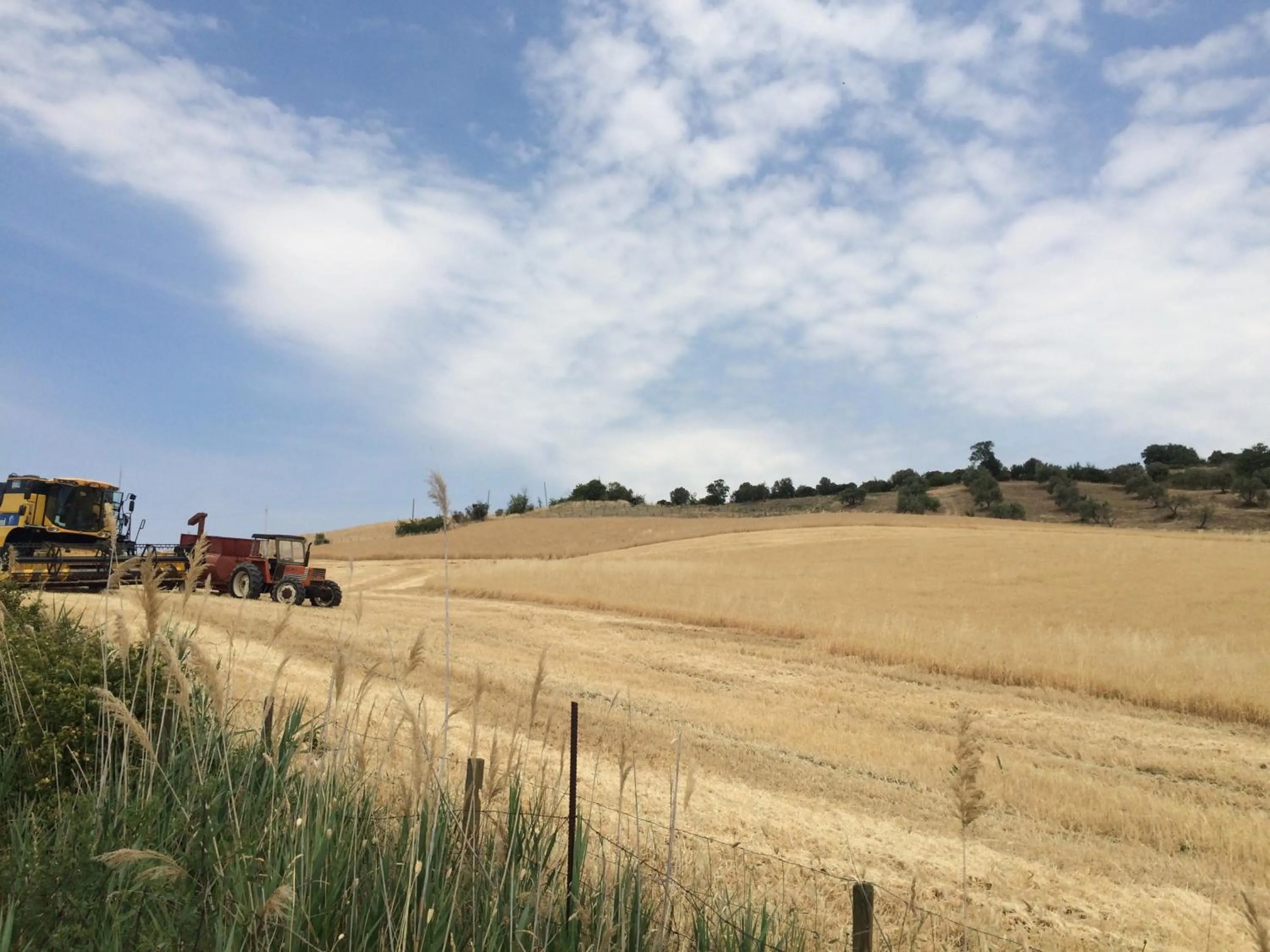 Activities in Casetta Tartuchino