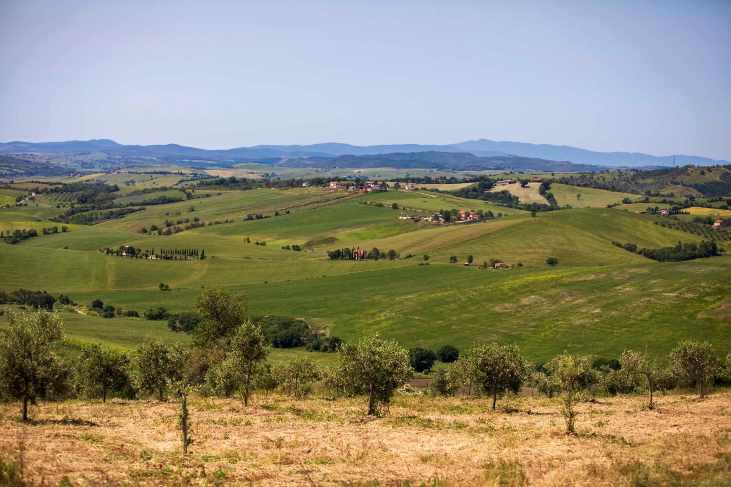 Natural landscape in Casetta Tartuchino