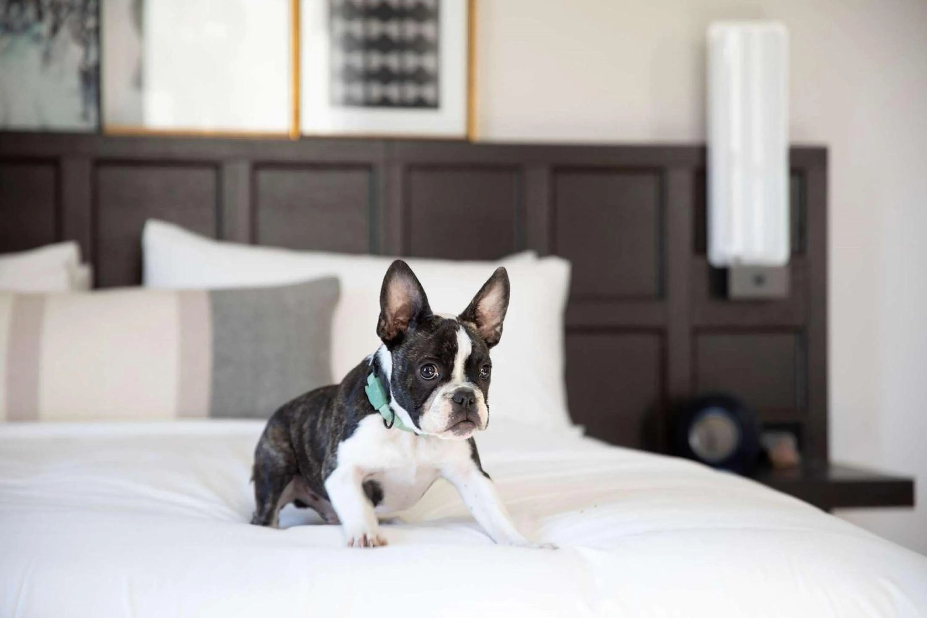 Other, Bed in The Clift Royal Sonesta San Francisco