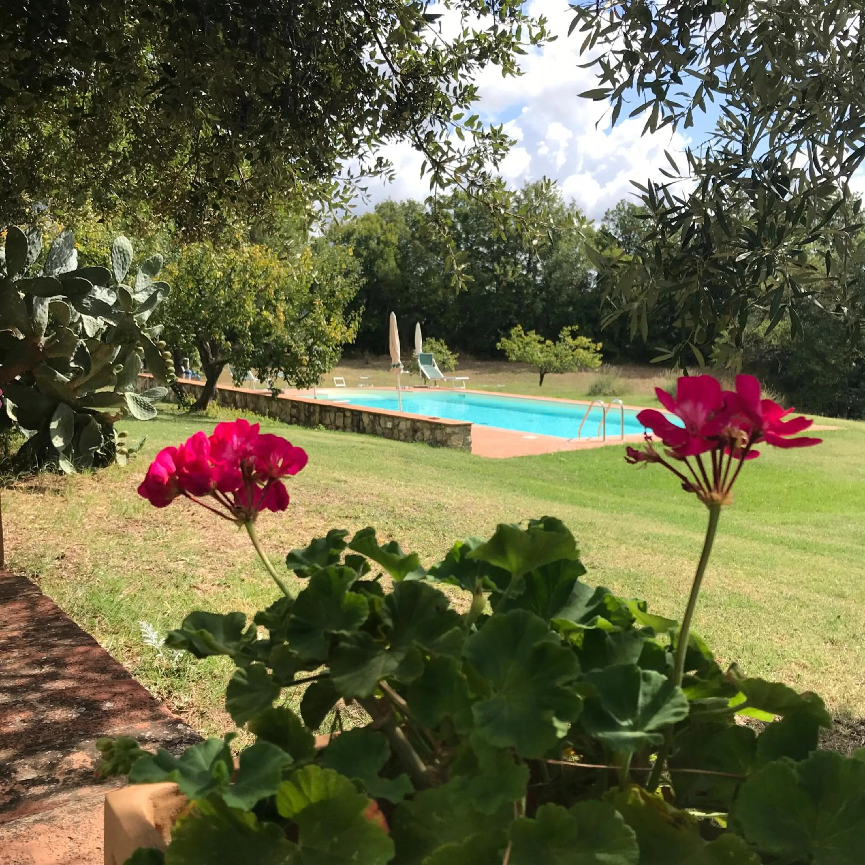 Garden in Country House Montecchio