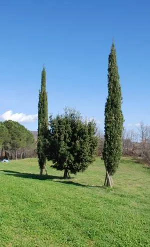 Garden in Country House Montecchio