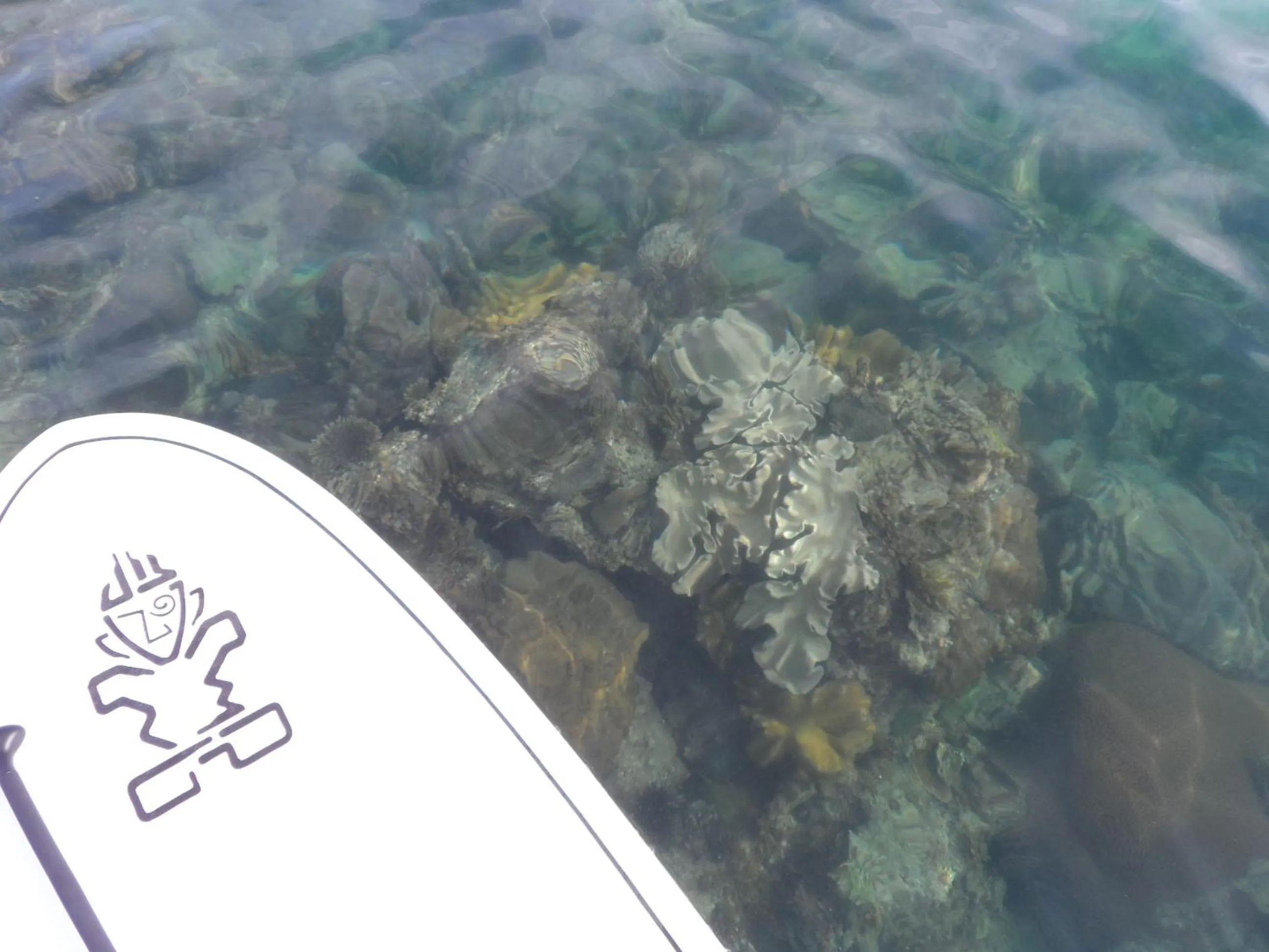 Snorkeling in Mutiara Beach Resort