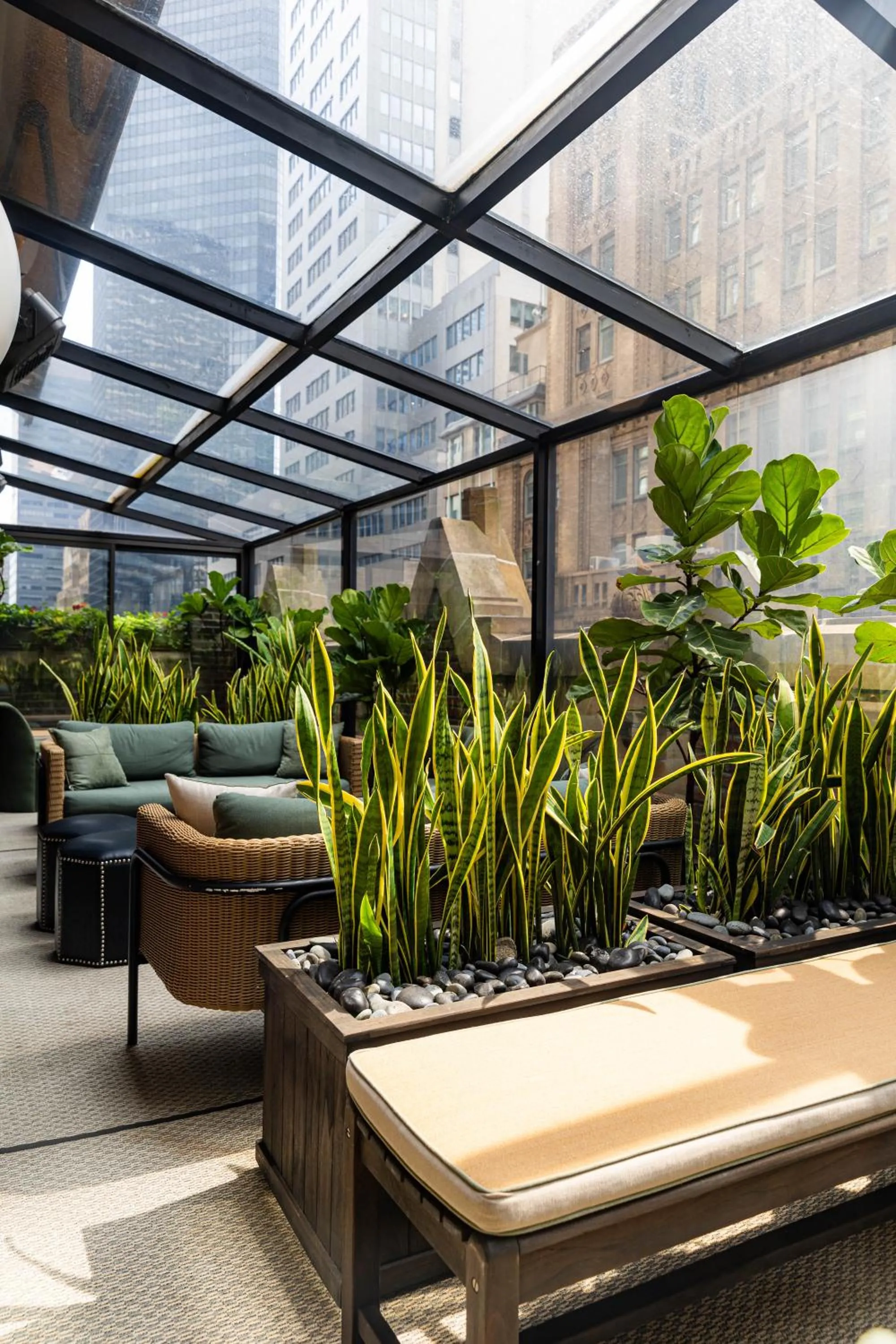 Garden in Library Hotel by Library Hotel Collection