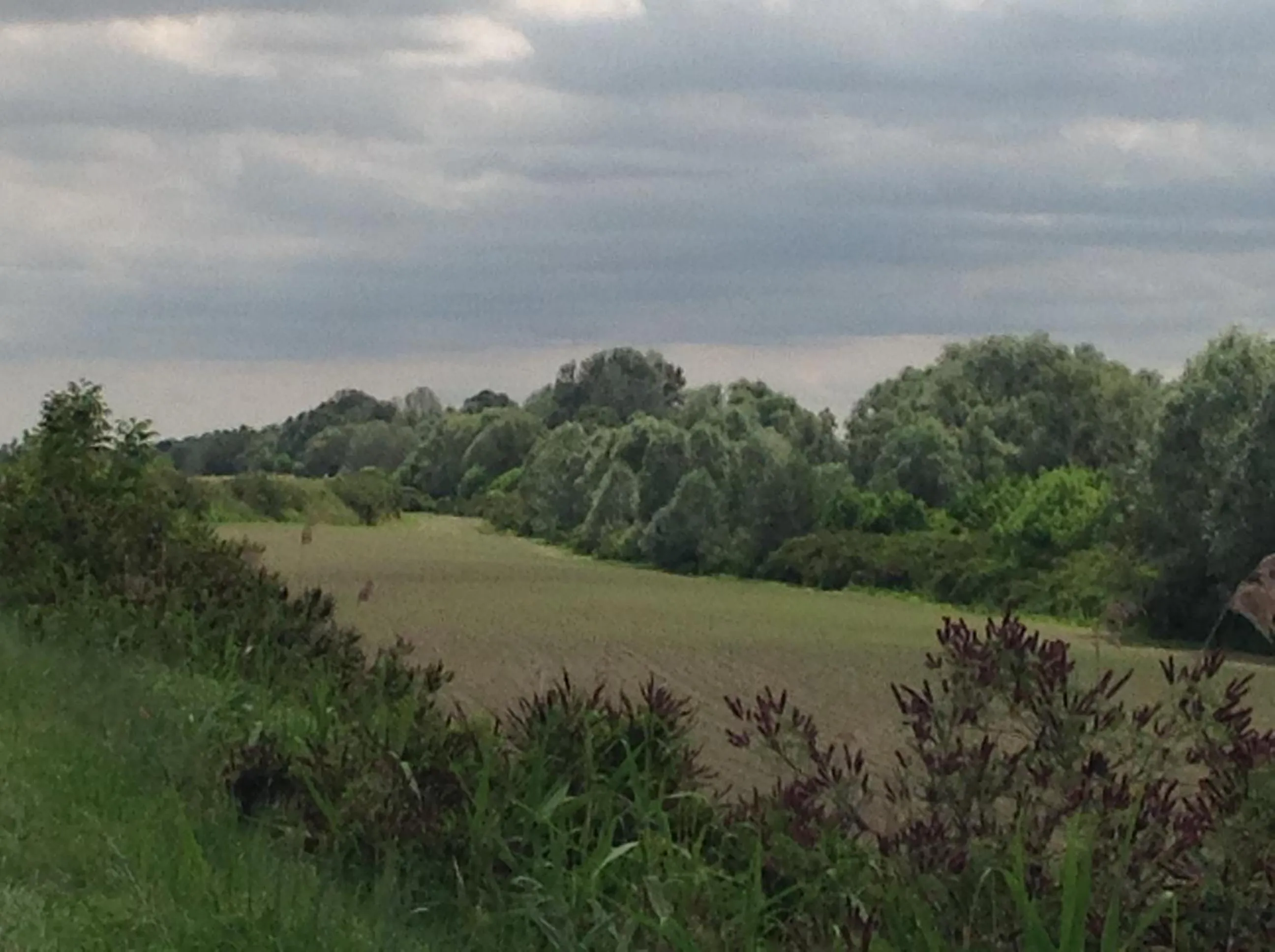 Natural landscape in B&B Ciliegio Felice