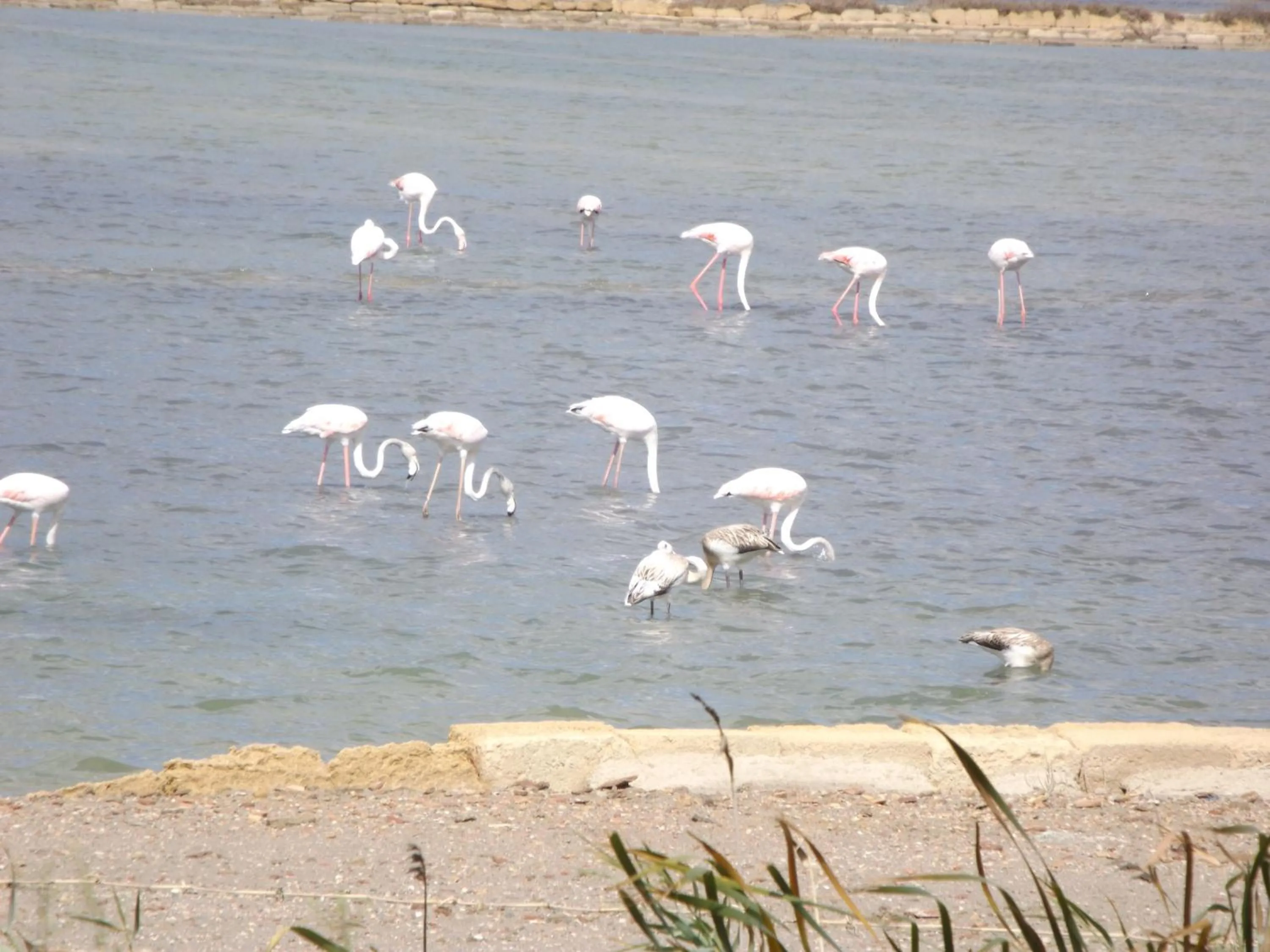 Sea view in Case Vacanza Torre Lupa