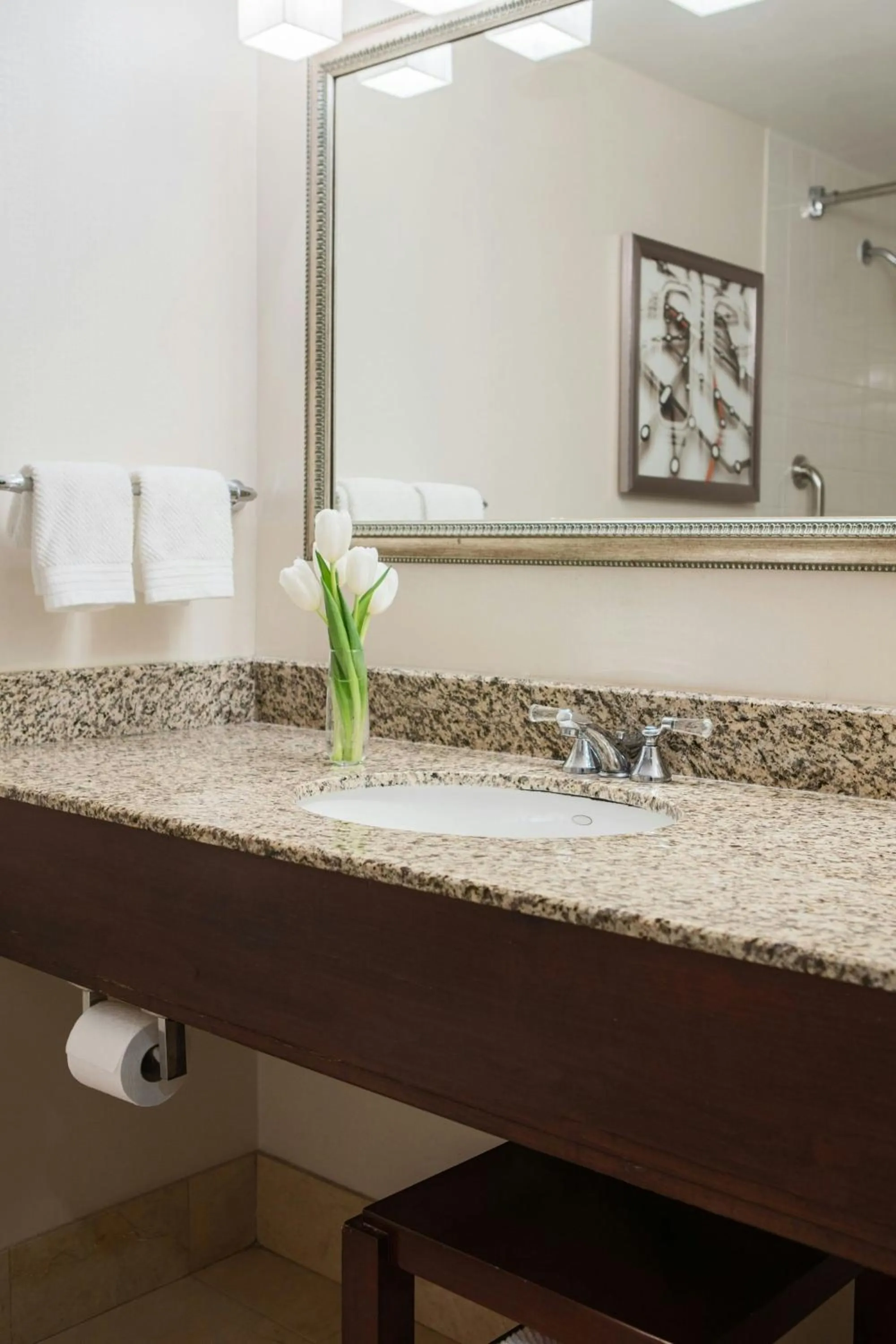 Bathroom in Renaissance Newark Airport Hotel