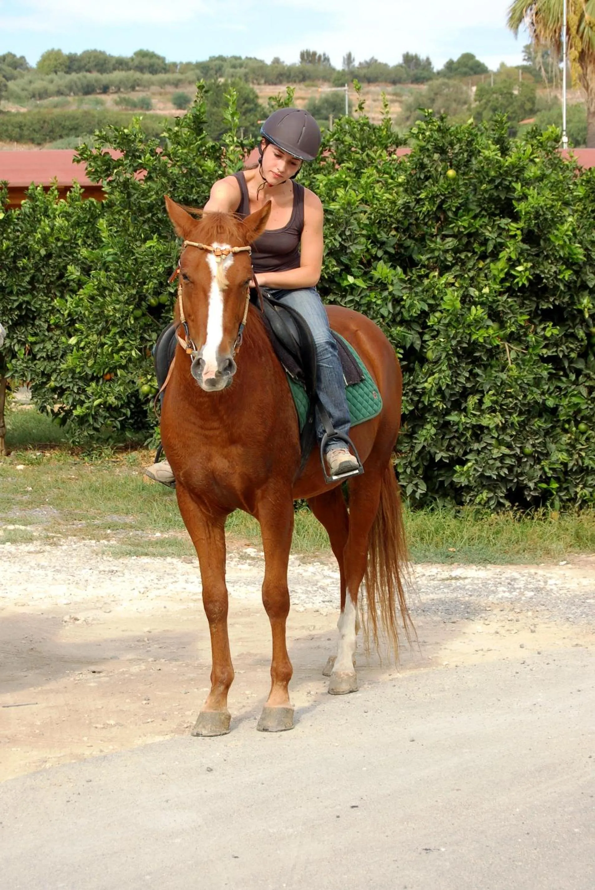 Spring in Il Giardino Del Sole