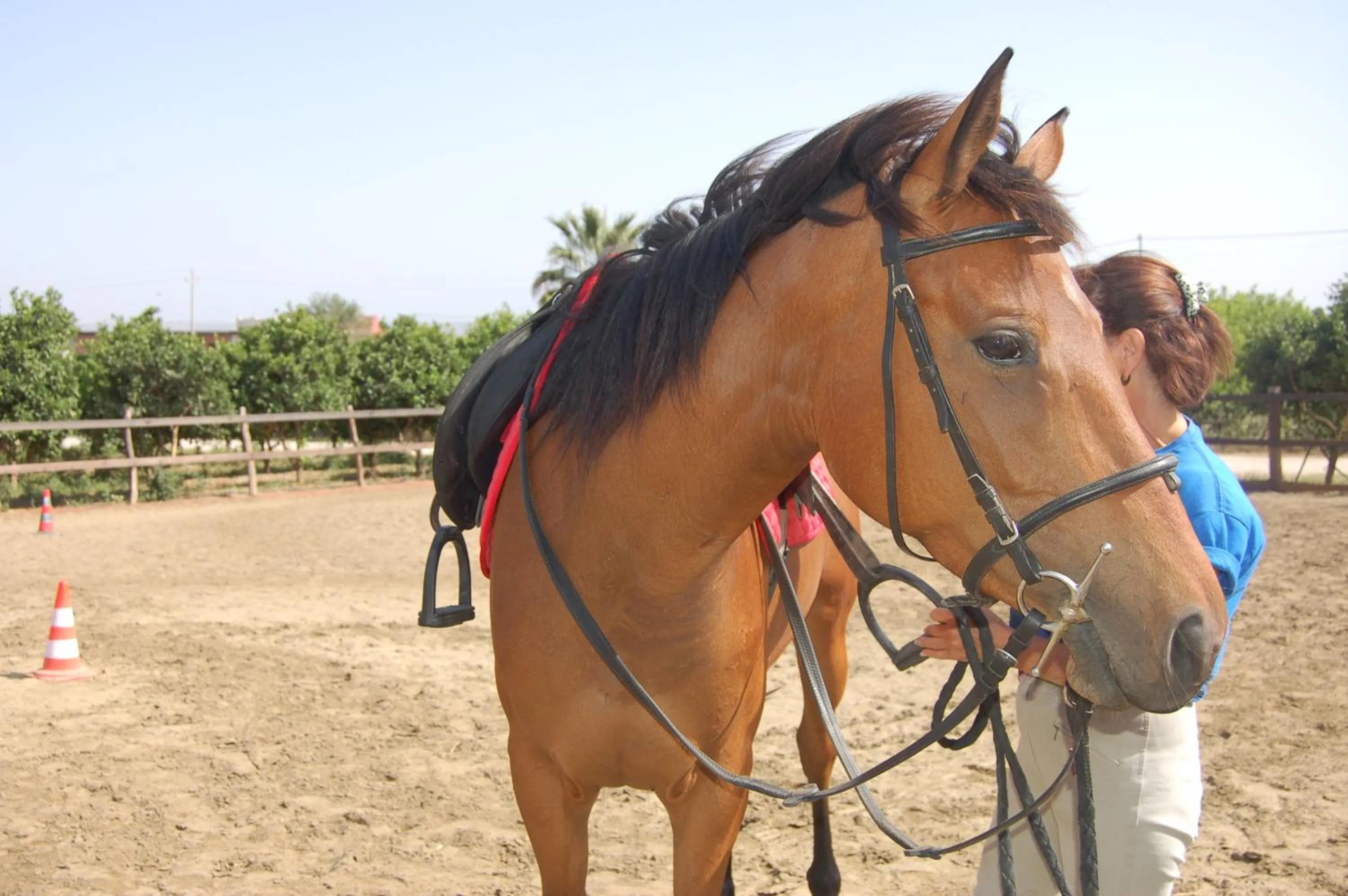 Horse-riding in Il Giardino Del Sole