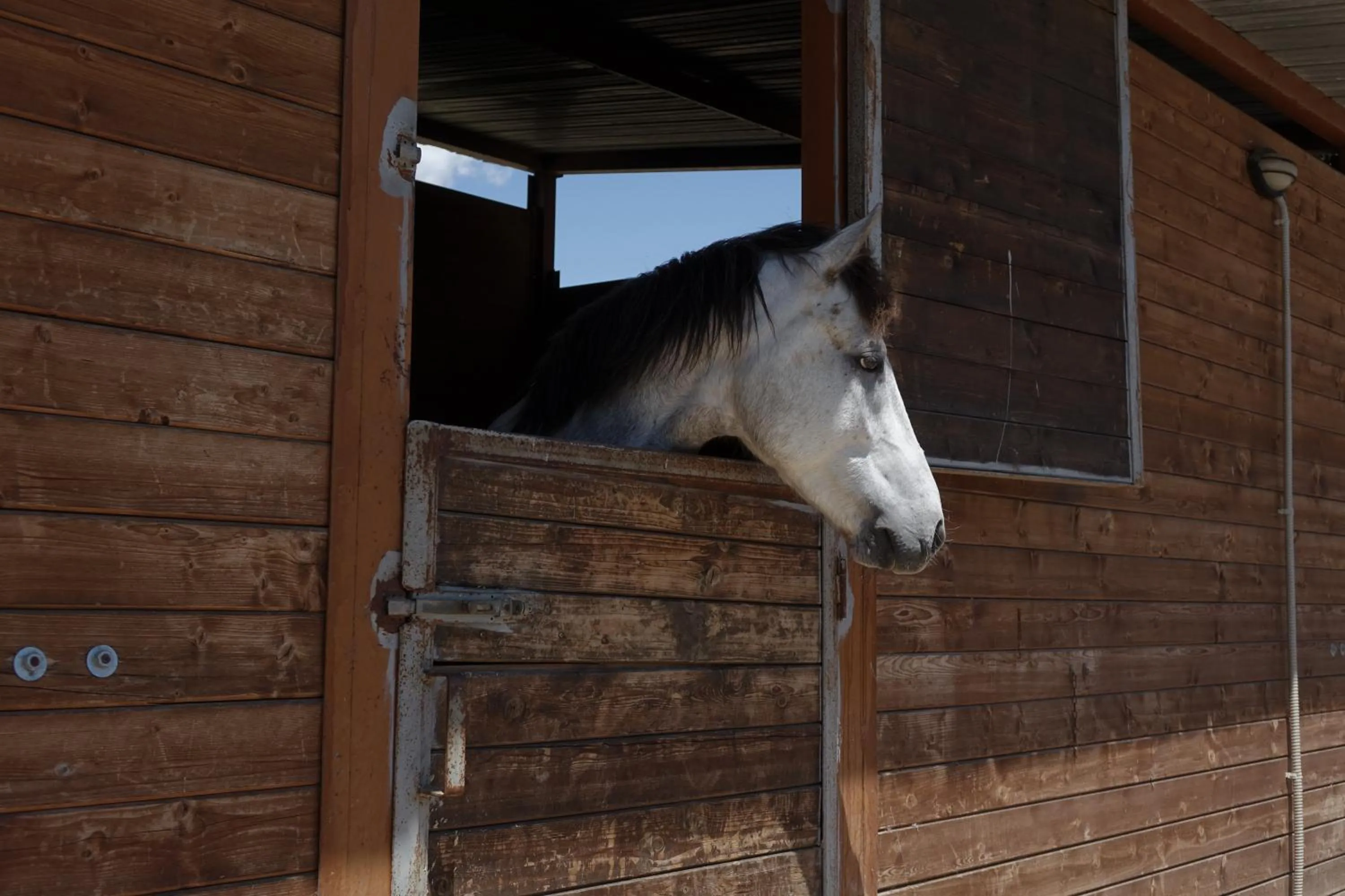 Horse-riding in Il Giardino Del Sole