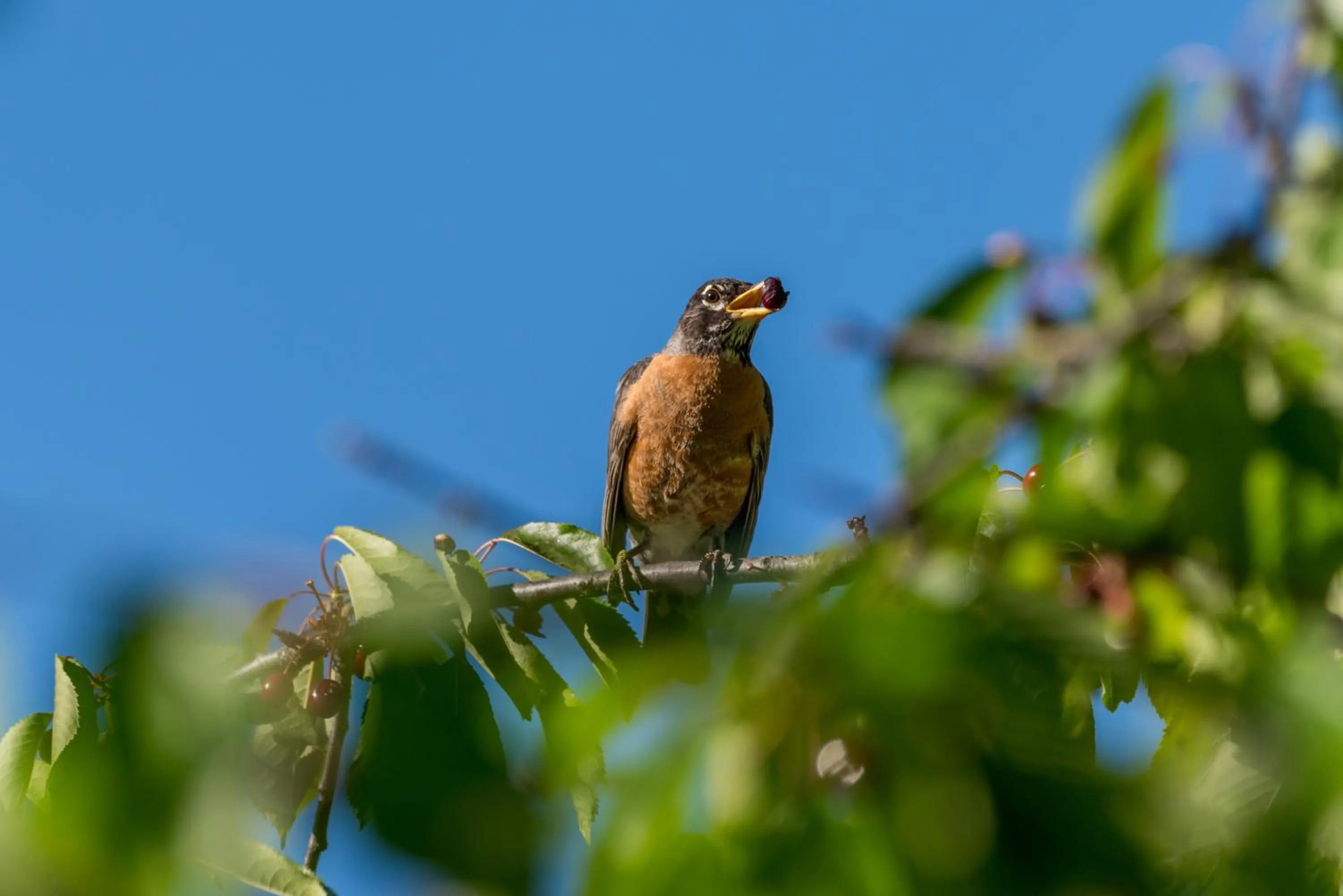 Other in The Davies Family Inn