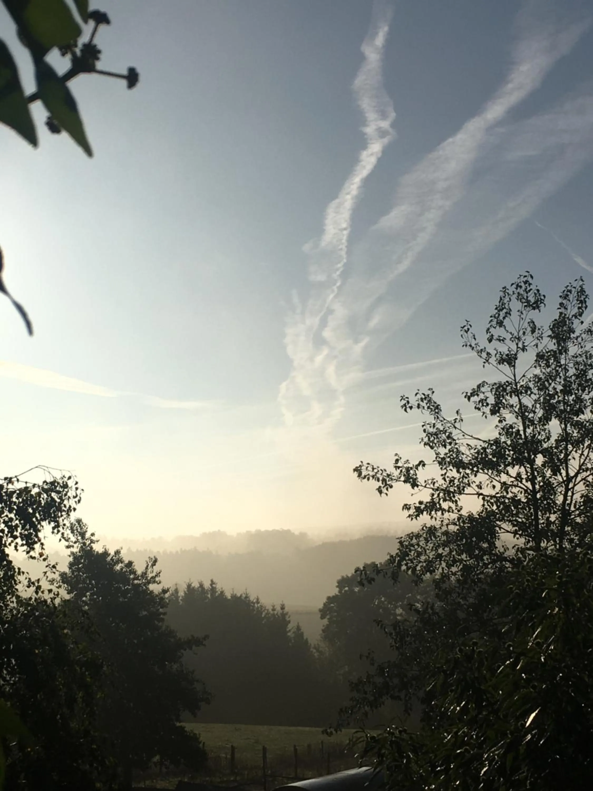 Area and facilities in PAULIS Vakantiehuis