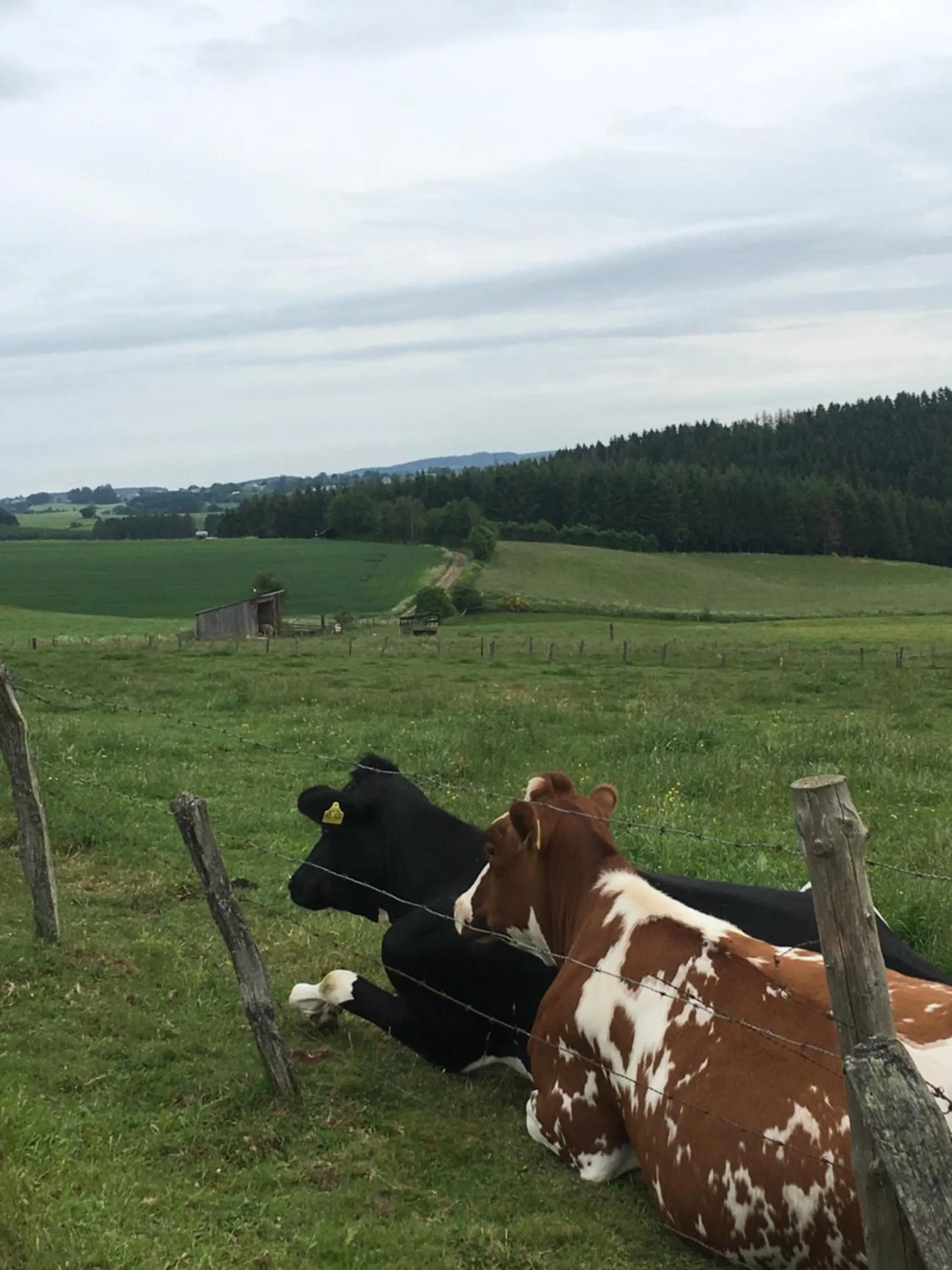 Day in PAULIS Vakantiehuis