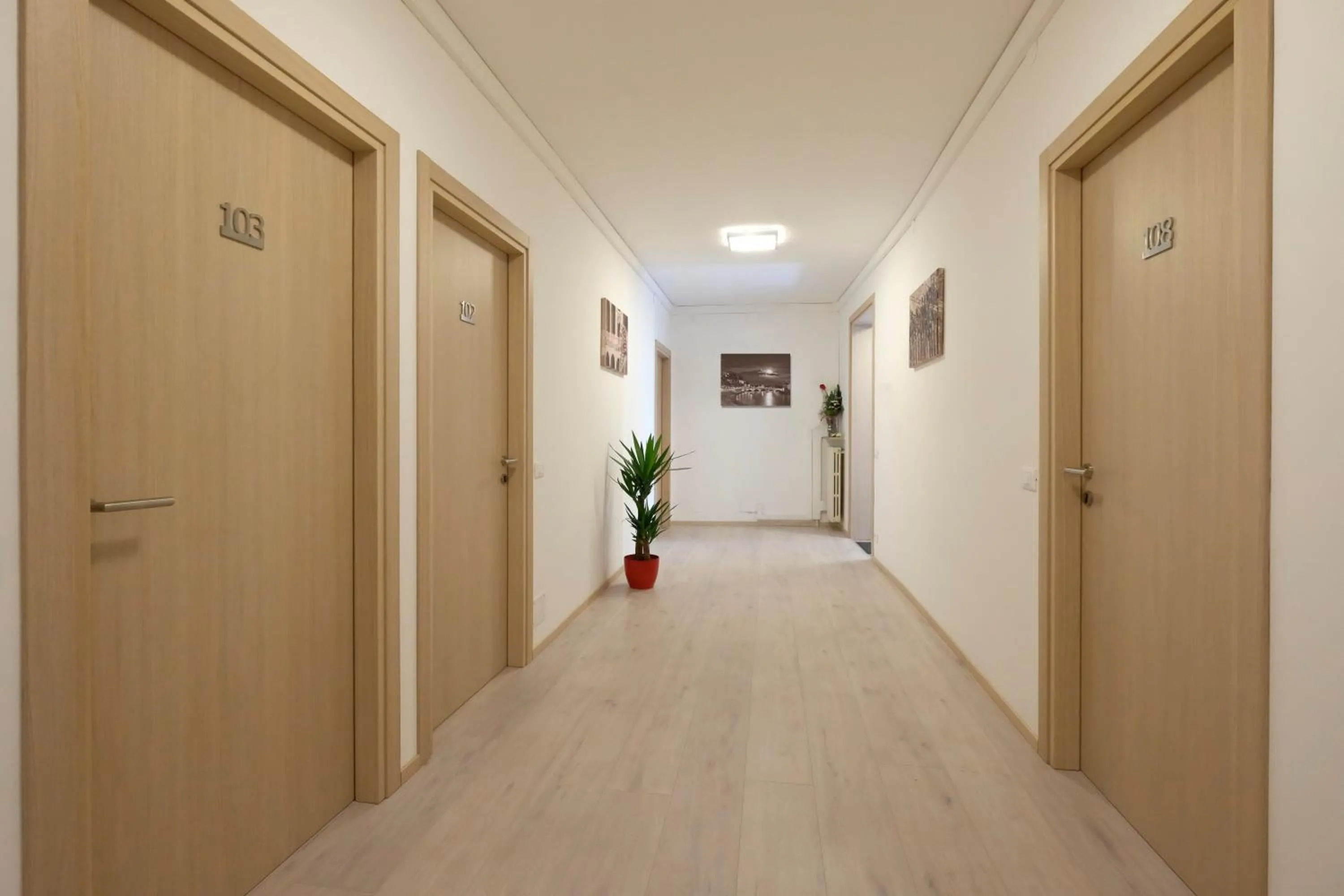 Area and facilities in Hotel Gelmini