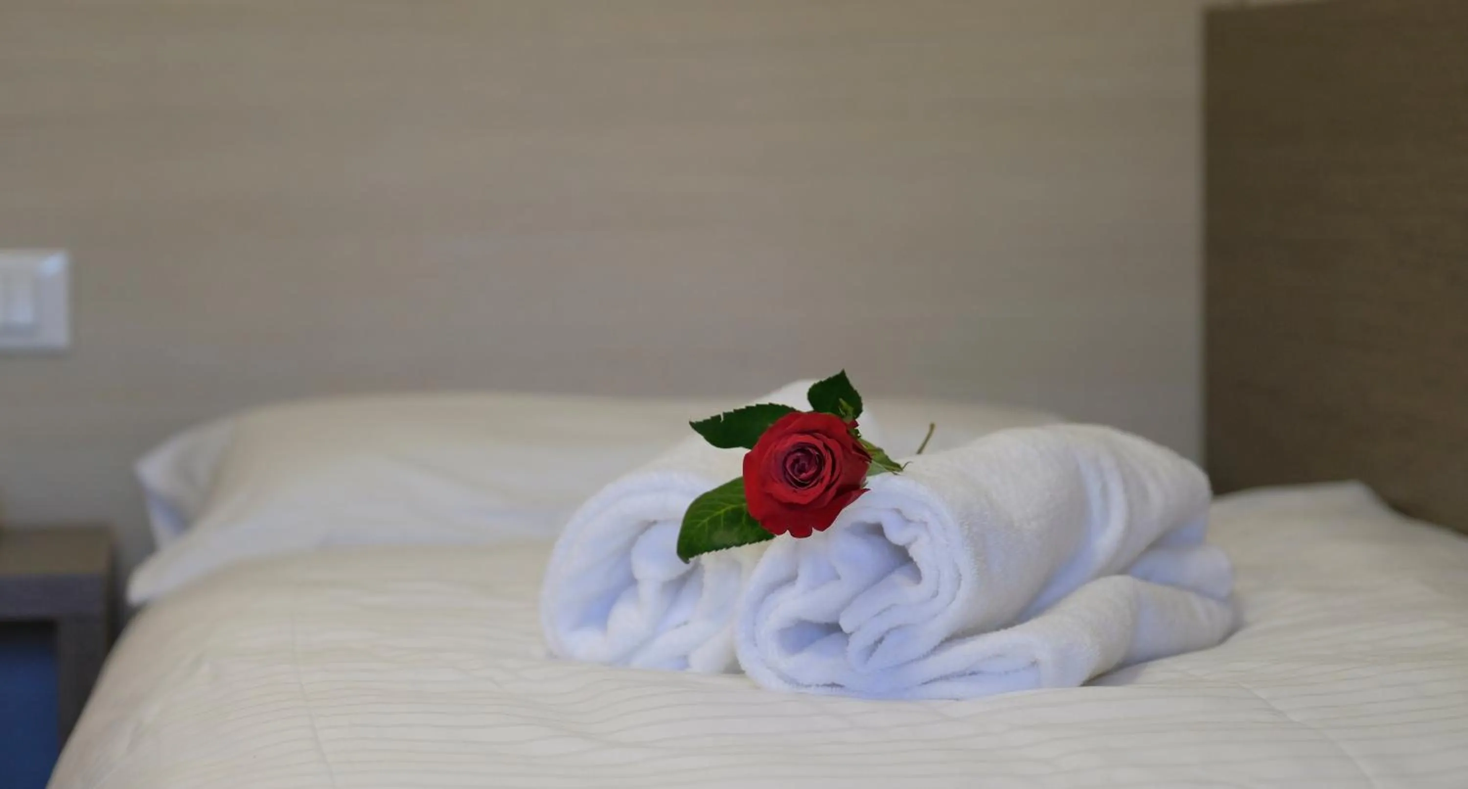 Bed in Hotel Gelmini