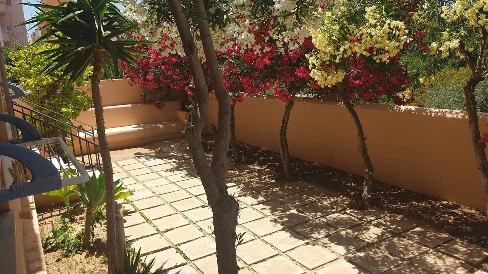 Garden in Moresco Resort