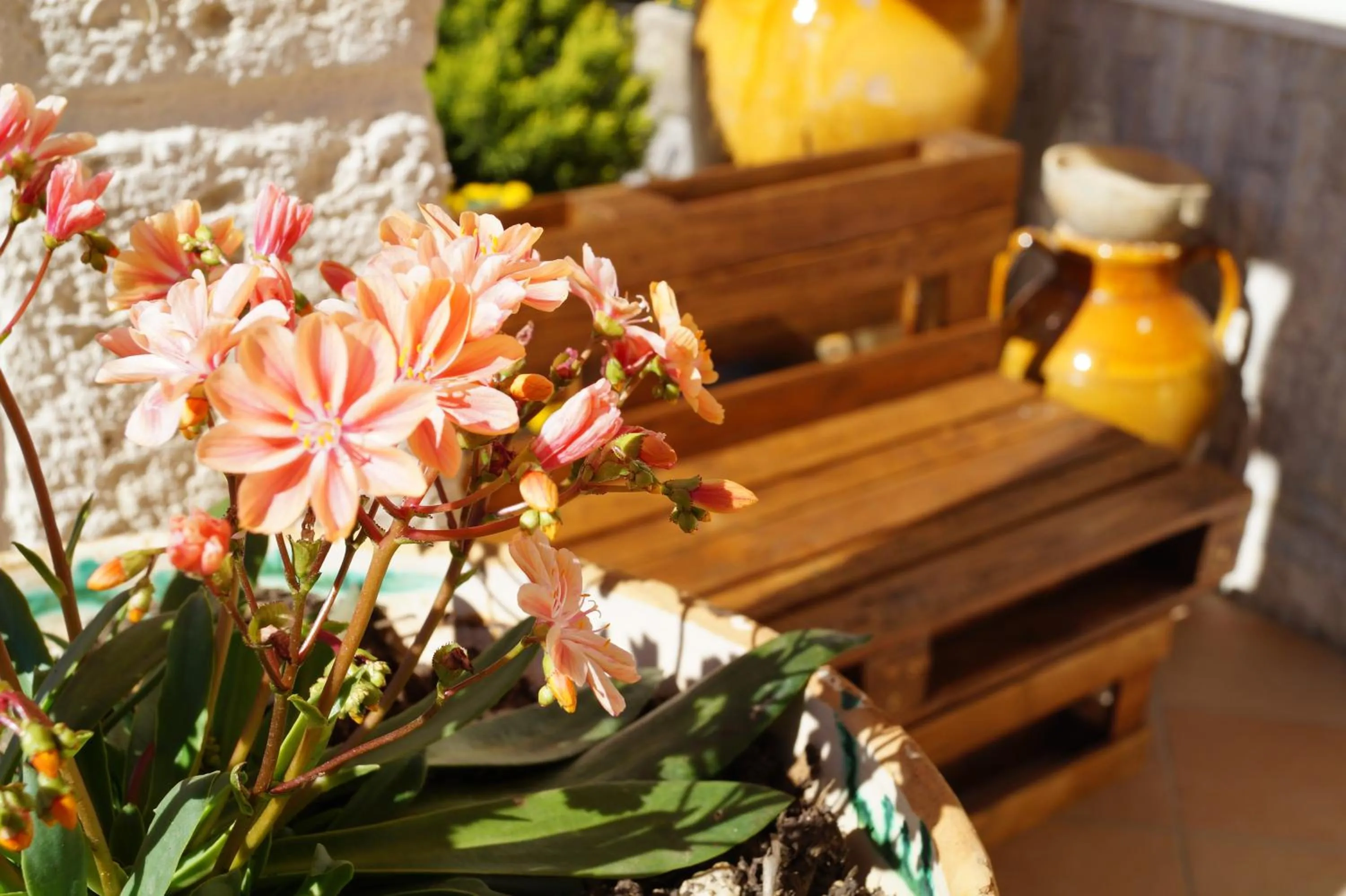 Spring in La Casa Del Nonno