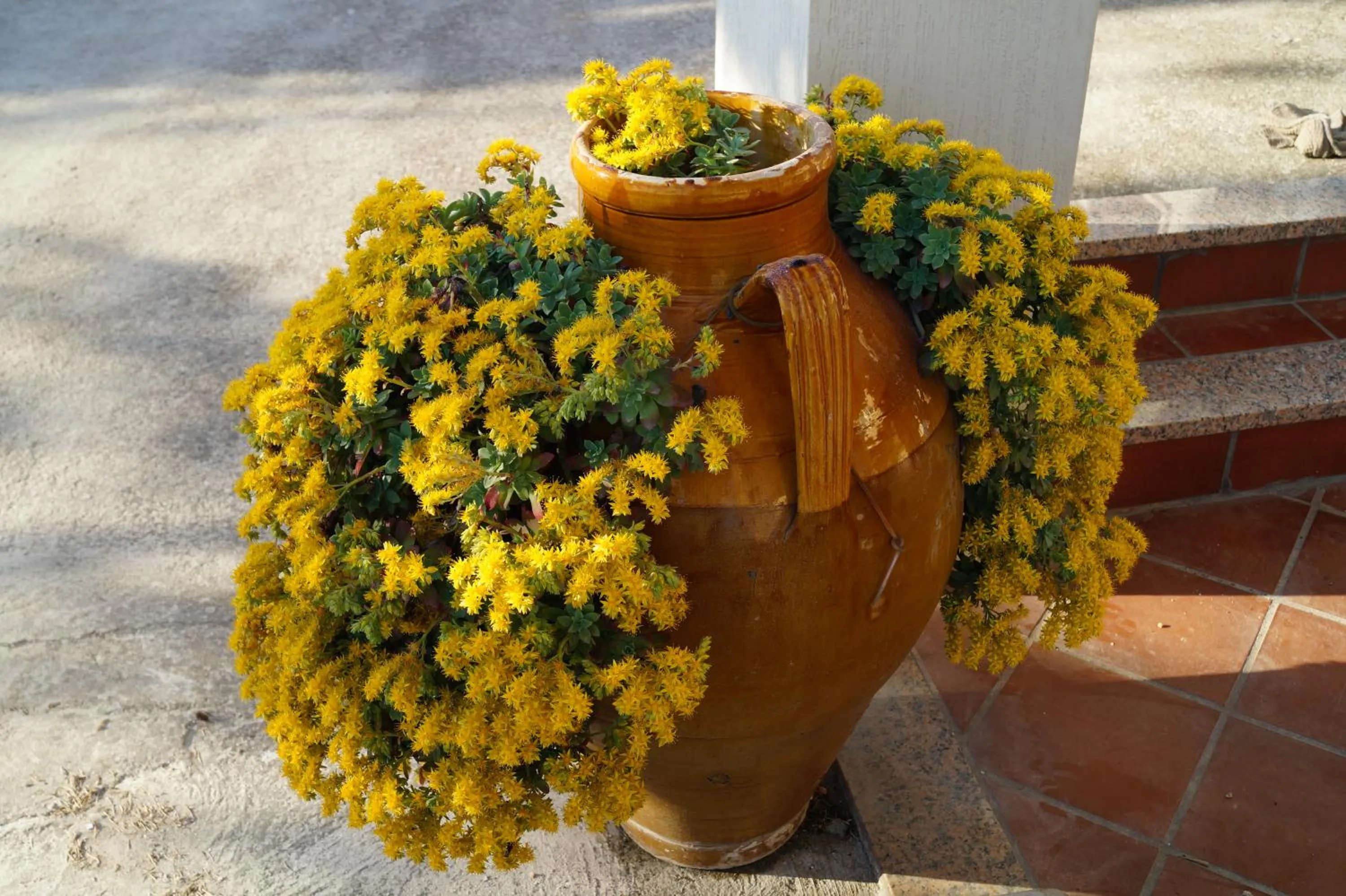 Decorative detail in La Casa Del Nonno