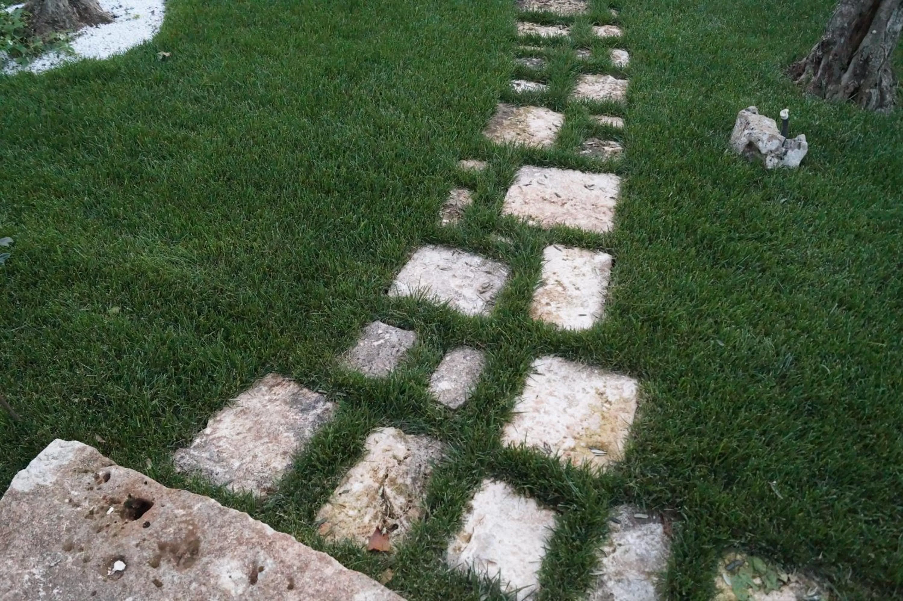 Garden in La Casa Del Nonno