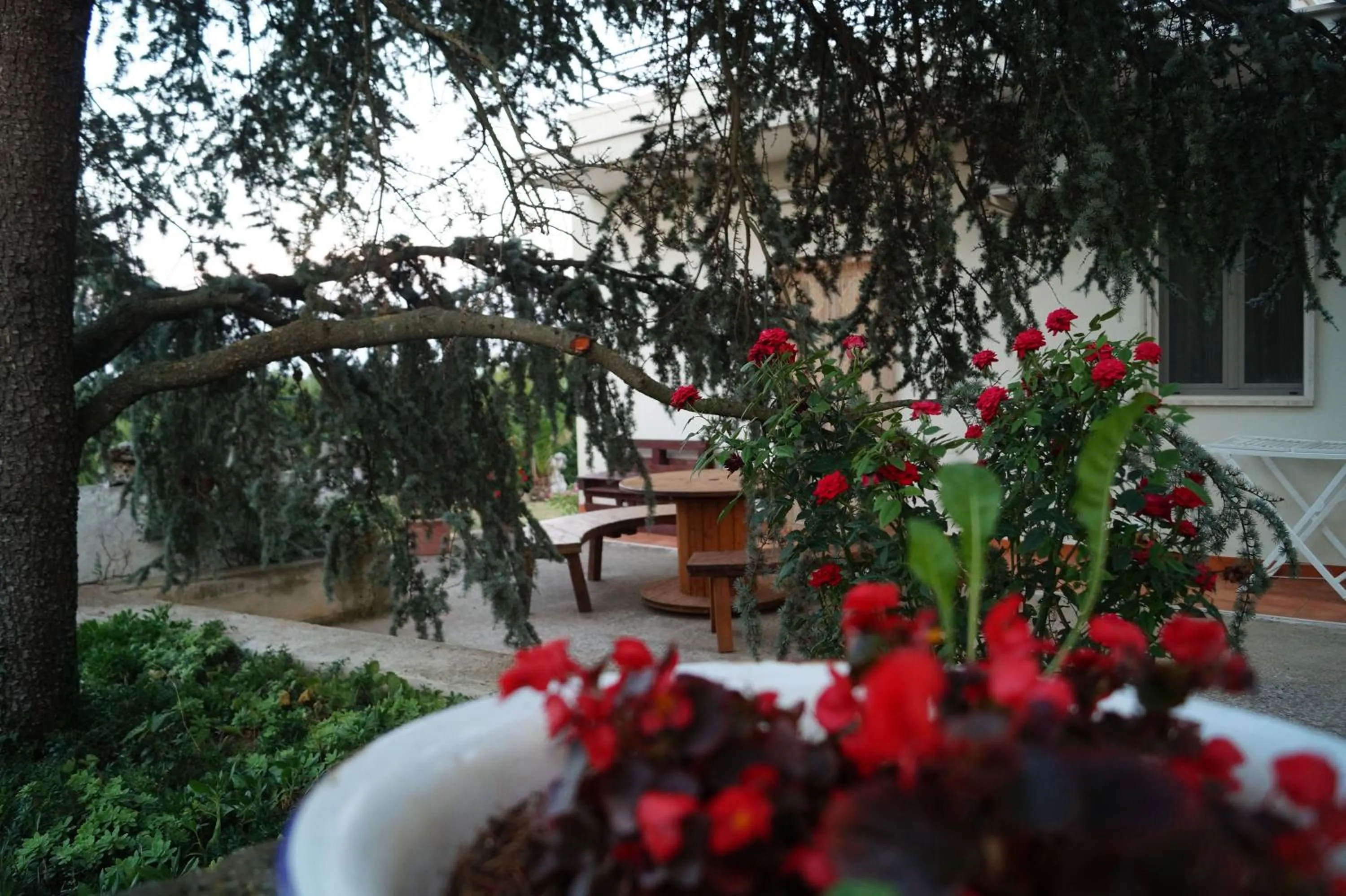 Garden in La Casa Del Nonno