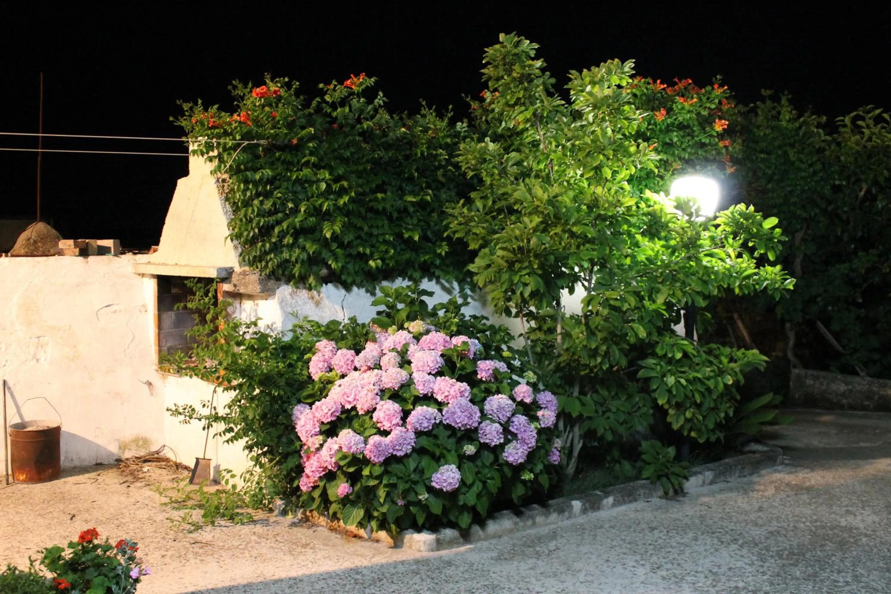 Spring in La Casa Del Nonno