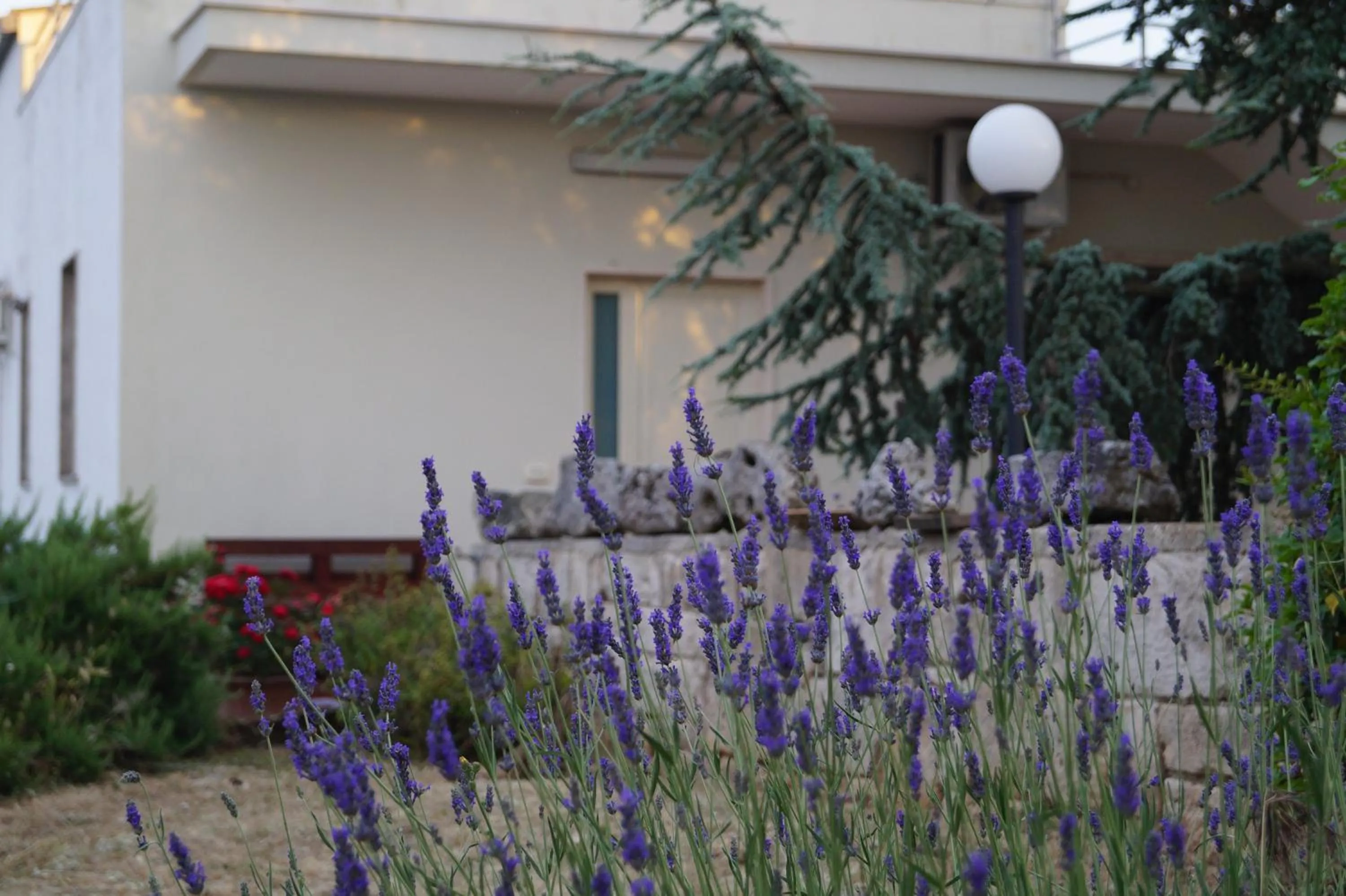 Facade/entrance in La Casa Del Nonno