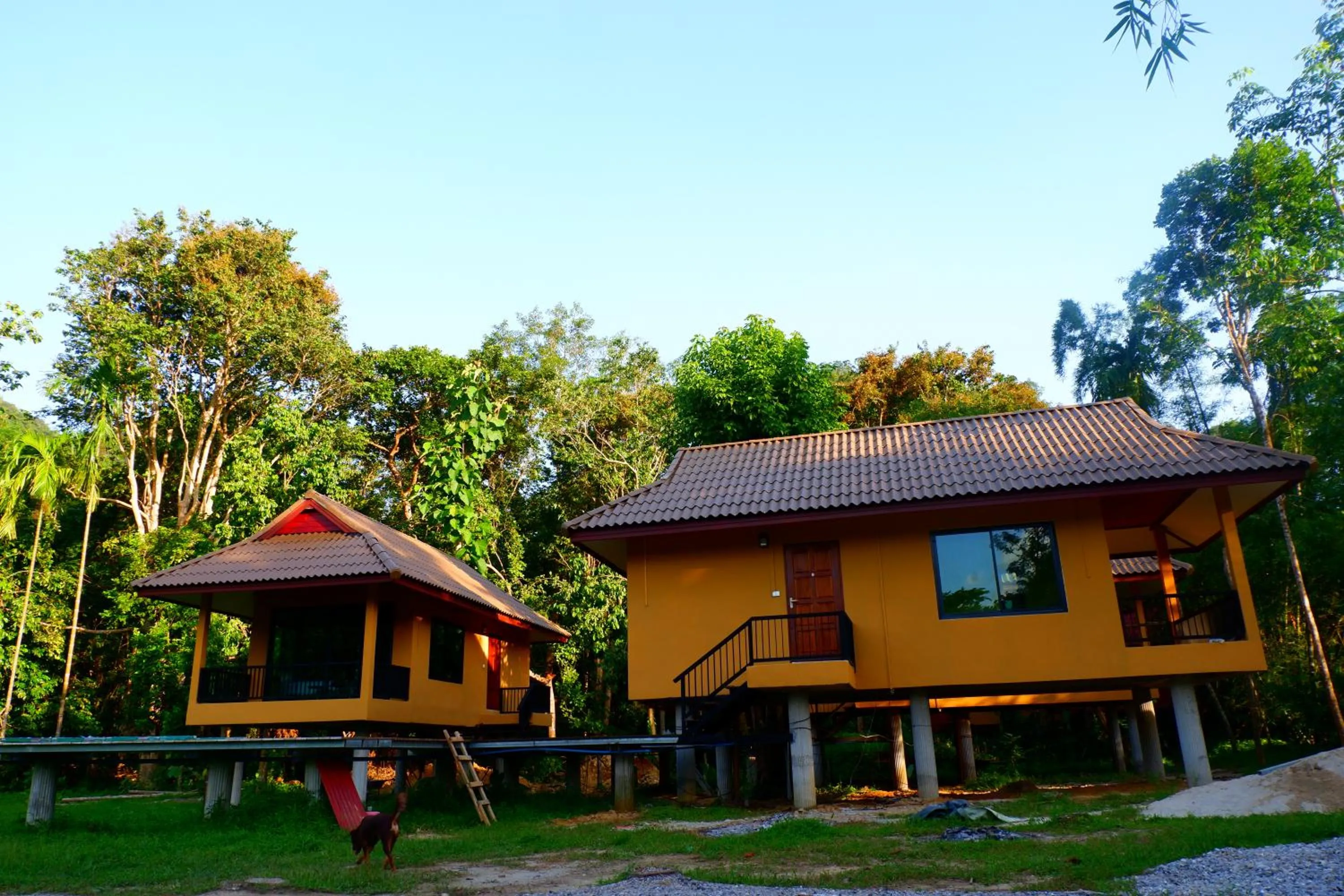 Property building in The Bliss Khao Sok Boutique Lodge