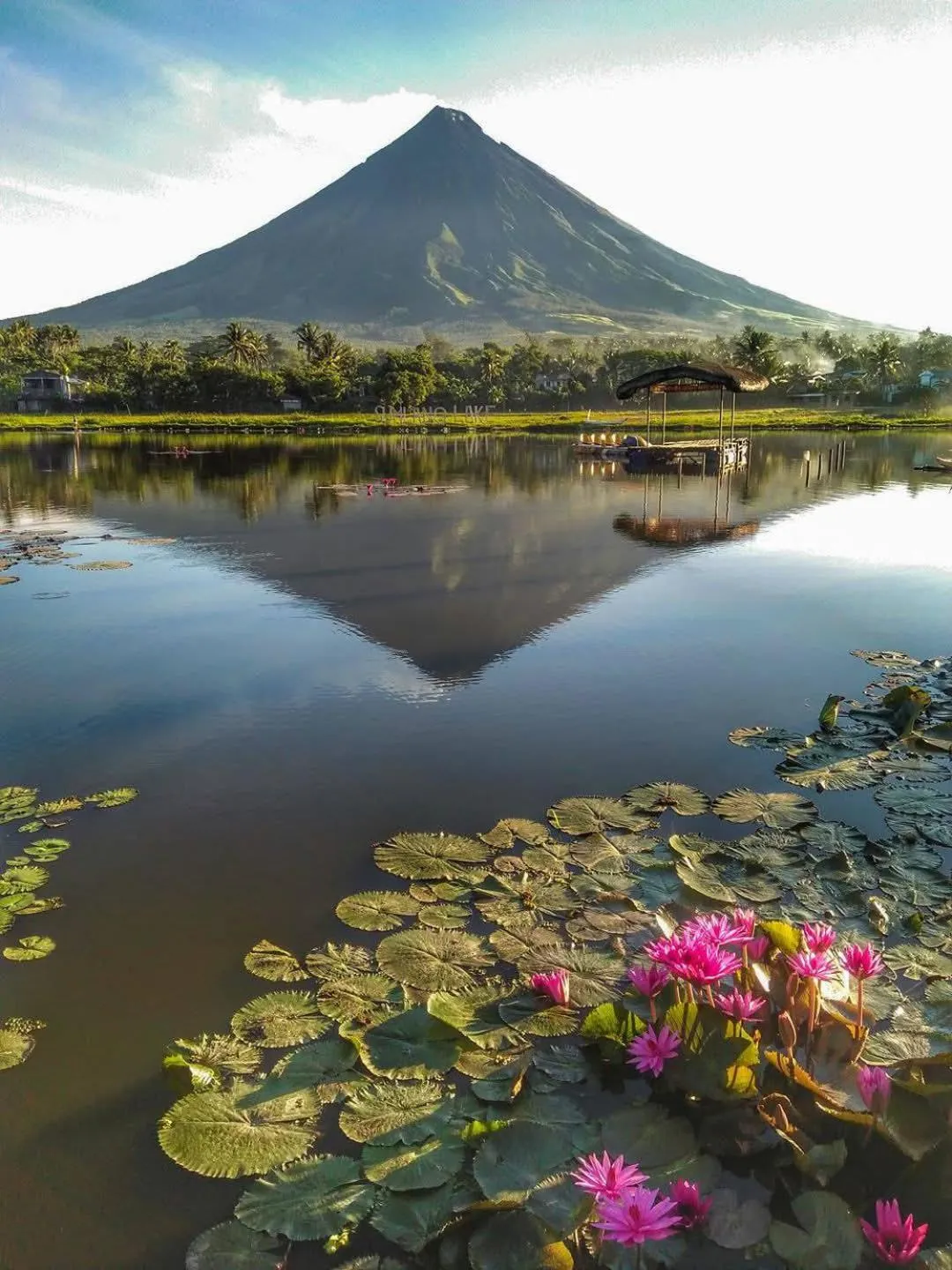 Nearby landmark in Fernando's Hotel